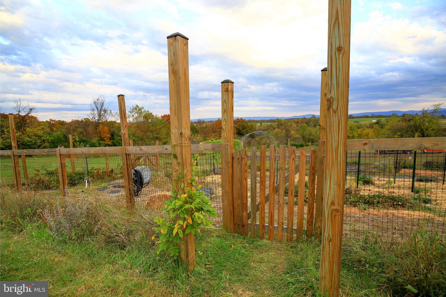 384 LINDAMOOD LN, STRASBURG, Virginia 22641, 5 Bedrooms Bedrooms, ,3 BathroomsBathrooms,Residential,For sale,384 LINDAMOOD LN,VASH2012866 MLS # VASH2012866 384 LINDAMOOD LN, STRASBURG, Virginia 22641, 5 Bedrooms Bedrooms, ,3 BathroomsBathrooms,Residential,For sale,384 LINDAMOOD LN,VASH2012866 MLS # VASH2012866