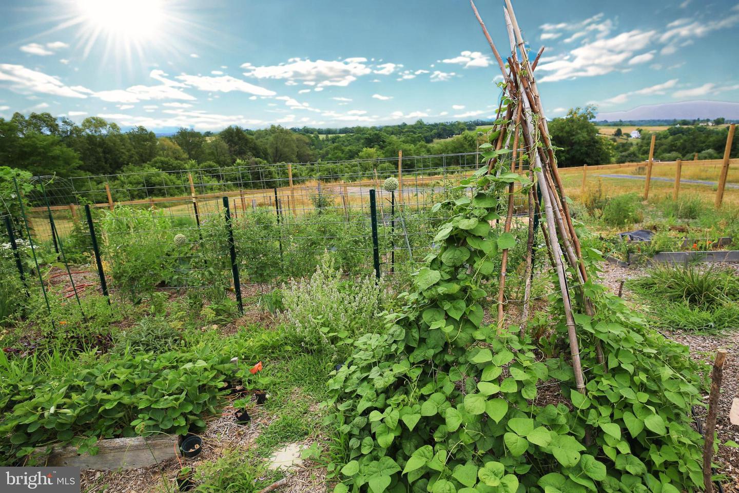 384 LINDAMOOD LN, STRASBURG, Virginia 22641, 5 Bedrooms Bedrooms, ,3 BathroomsBathrooms,Residential,For sale,384 LINDAMOOD LN,VASH2012866 MLS # VASH2012866 384 LINDAMOOD LN, STRASBURG, Virginia 22641, 5 Bedrooms Bedrooms, ,3 BathroomsBathrooms,Residential,For sale,384 LINDAMOOD LN,VASH2012866 MLS # VASH2012866
