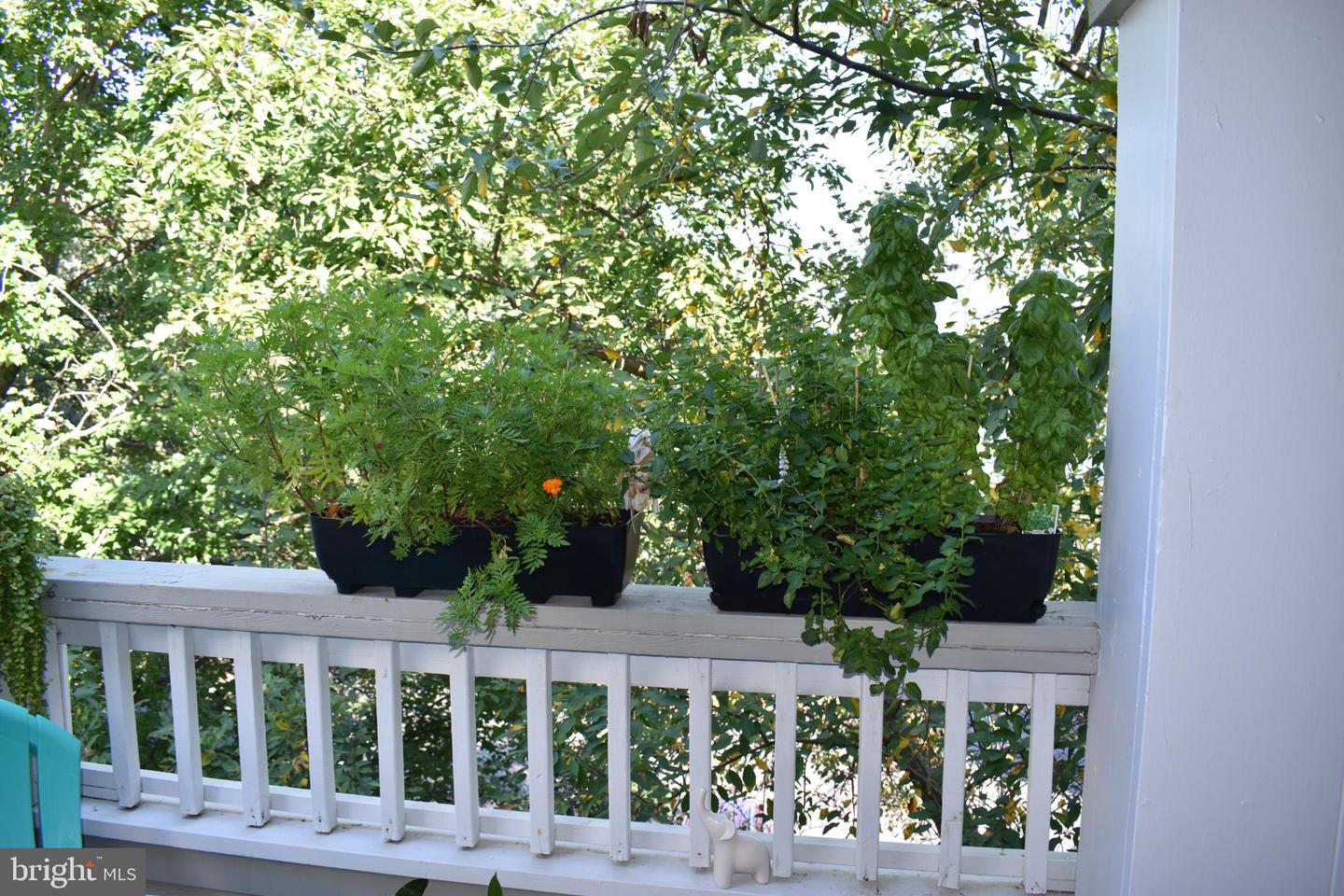 4413 FAIR STONE DR #306, FAIRFAX, Virginia 22033, 2 Bedrooms Bedrooms, 6 Rooms Rooms,2 BathroomsBathrooms,Residential,For sale,4413 FAIR STONE DR #306,VAFX2276880 MLS # VAFX2276880