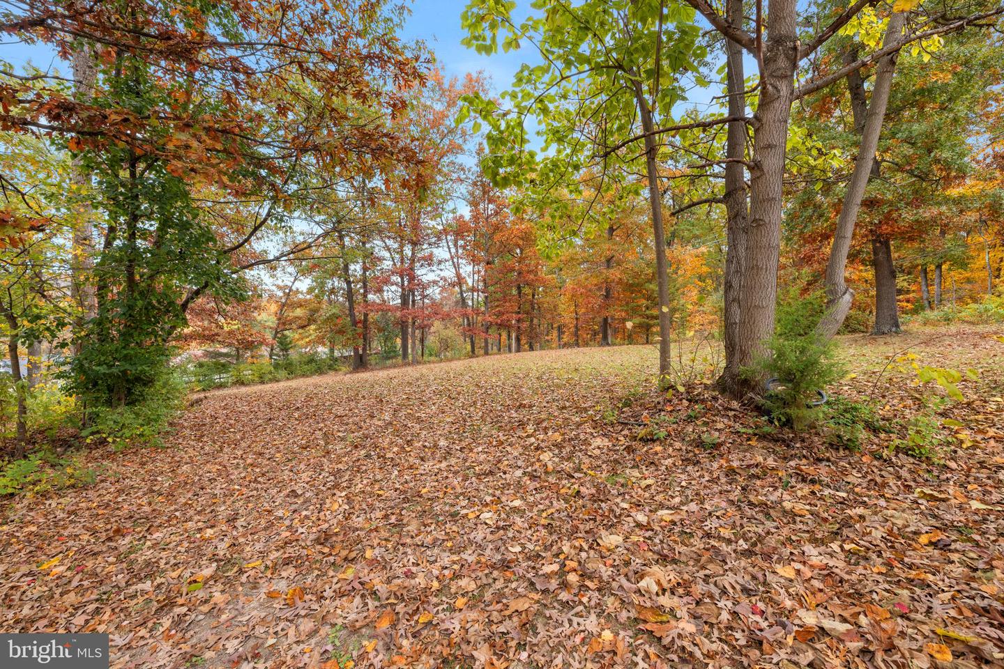 203 JENNY WREN DR, FRONT ROYAL, Virginia 22630, 2 Bedrooms Bedrooms, ,1 BathroomBathrooms,Residential,For sale,203 JENNY WREN DR,VAWR2012676 MLS # VAWR2012676