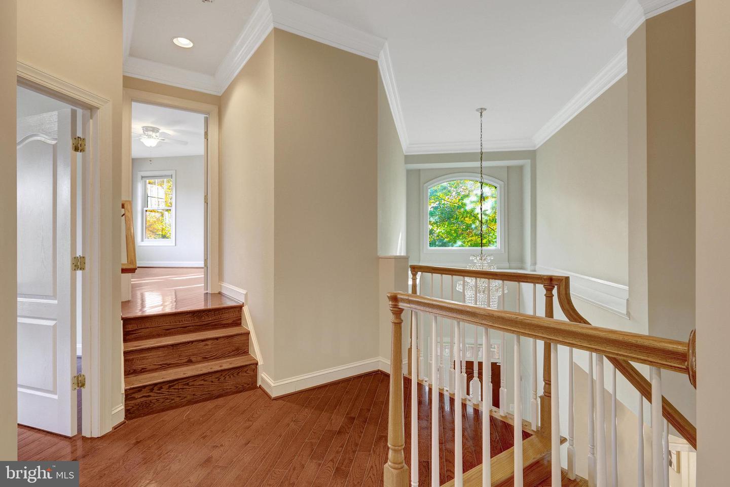 6941 PINE CREST AVE, MCLEAN, Virginia 22101, 5 Bedrooms Bedrooms, ,4 BathroomsBathrooms,Residential,For sale,6941 PINE CREST AVE,VAFX2276558 MLS # VAFX2276558