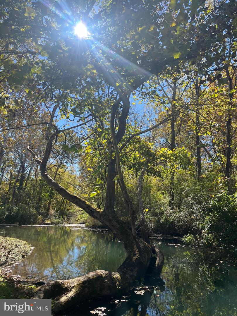 1690 MILLWOOD RD, BOYCE, Virginia 22620, 2 Bedrooms Bedrooms, ,2 BathroomsBathrooms,Residential,For sale,1690 MILLWOOD RD,VACL2006190 MLS # VACL2006190 1690 MILLWOOD RD, BOYCE, Virginia 22620, 2 Bedrooms Bedrooms, ,2 BathroomsBathrooms,Residential,For sale,1690 MILLWOOD RD,VACL2006190 MLS # VACL2006190