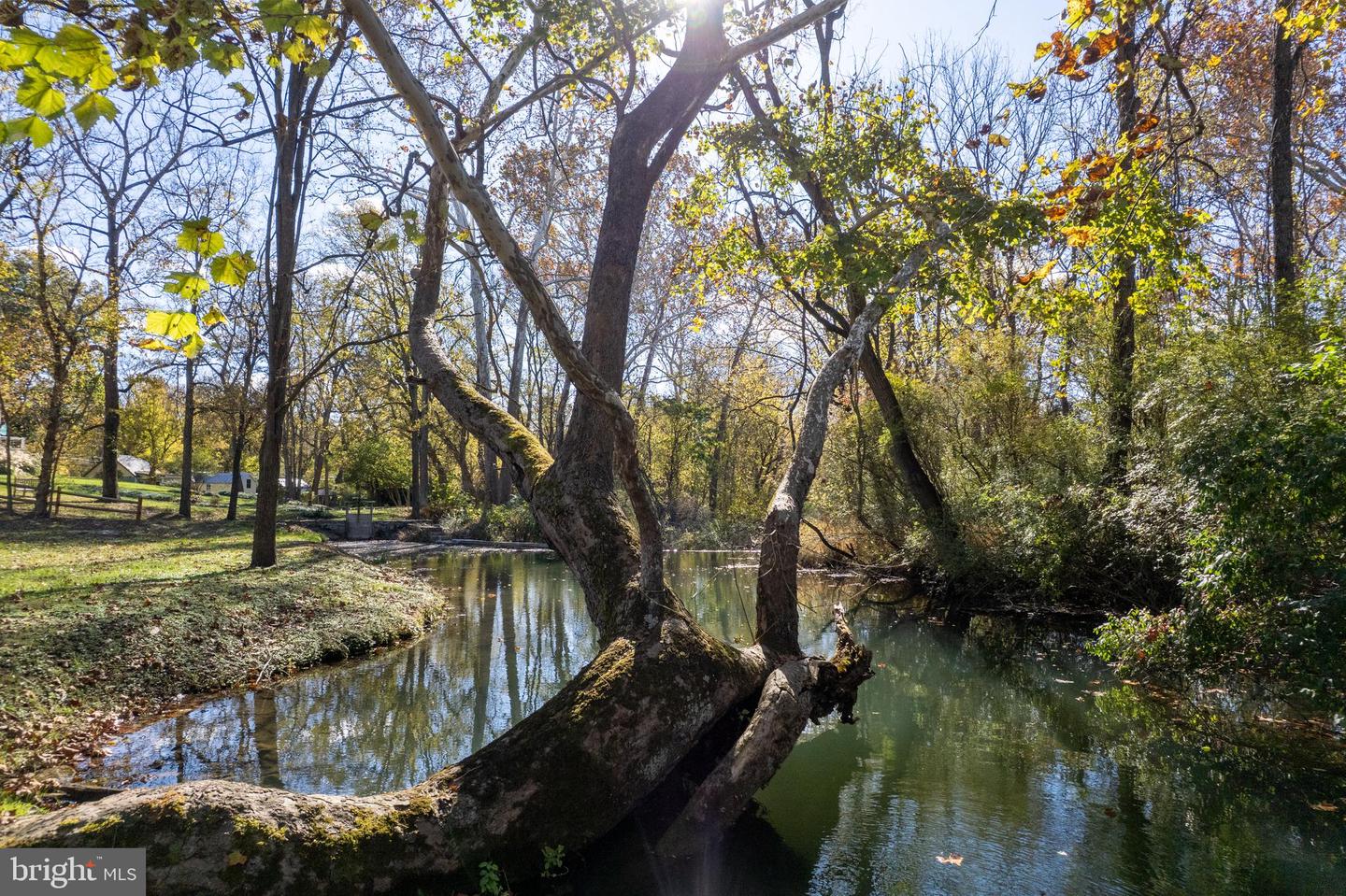 1690 MILLWOOD RD, BOYCE, Virginia 22620, 2 Bedrooms Bedrooms, ,2 BathroomsBathrooms,Residential,For sale,1690 MILLWOOD RD,VACL2006190 MLS # VACL2006190 1690 MILLWOOD RD, BOYCE, Virginia 22620, 2 Bedrooms Bedrooms, ,2 BathroomsBathrooms,Residential,For sale,1690 MILLWOOD RD,VACL2006190 MLS # VACL2006190