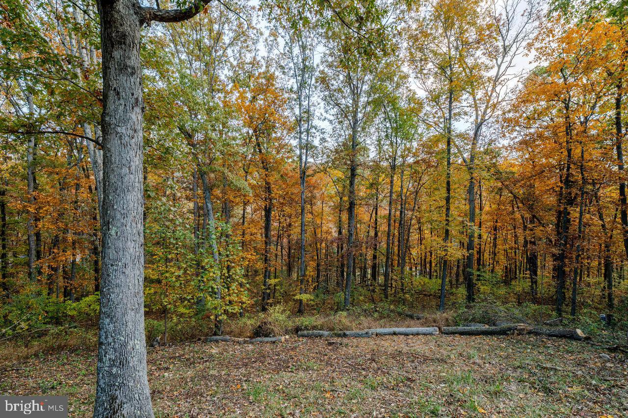 115 RISK RD, NEW MARKET, Virginia 22844, 2 Bedrooms Bedrooms, ,1 BathroomBathrooms,Residential,For sale,115 RISK RD,VASH2012906 MLS # VASH2012906