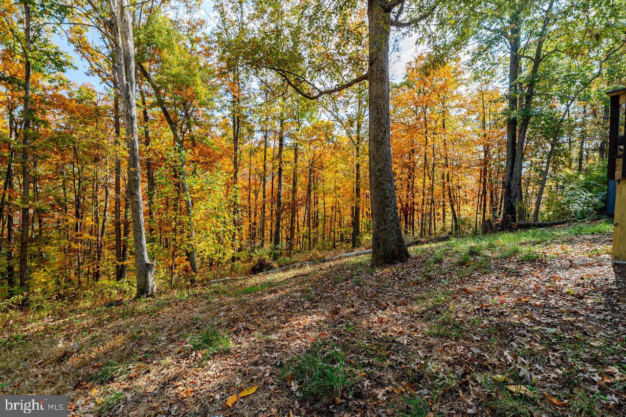 115 RISK RD, NEW MARKET, Virginia 22844, 2 Bedrooms Bedrooms, ,1 BathroomBathrooms,Residential,For sale,115 RISK RD,VASH2012906 MLS # VASH2012906