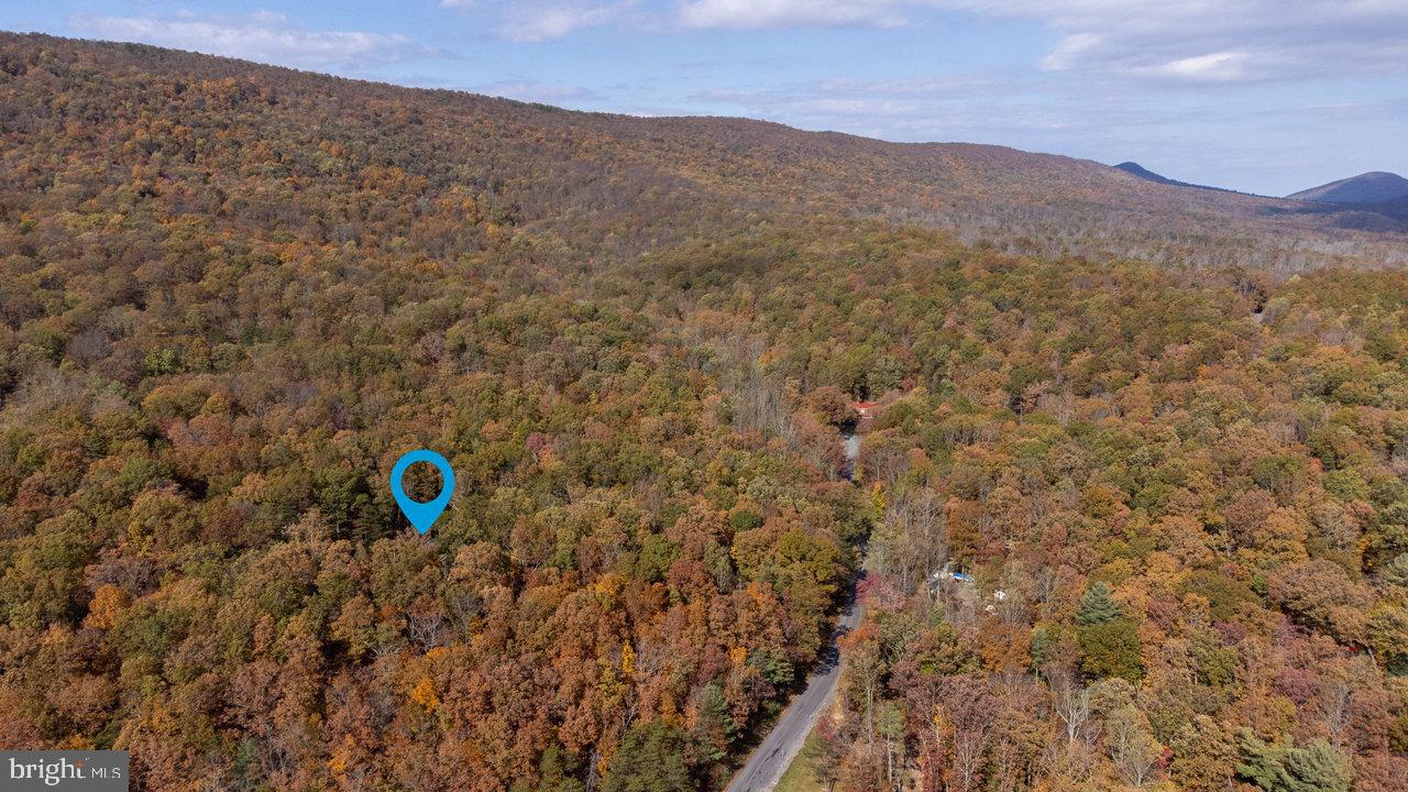 115 RISK RD, NEW MARKET, Virginia 22844, 2 Bedrooms Bedrooms, ,1 BathroomBathrooms,Residential,For sale,115 RISK RD,VASH2012906 MLS # VASH2012906