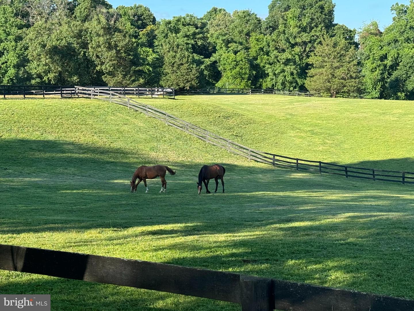 9341 CORNWELL FARM DR, GREAT FALLS, Virginia 22066, 4 Bedrooms Bedrooms, ,3 BathroomsBathrooms,Residential,For sale,9341 CORNWELL FARM DR,VAFX2277060 MLS # VAFX2277060