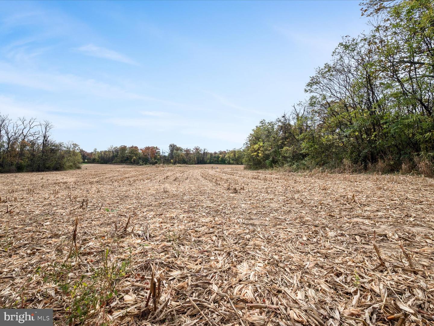 458 HITES RD, STEPHENS CITY, Virginia 22655, ,Farm,For sale,458 HITES RD,VAFV2037666 MLS # VAFV2037666 458 HITES RD, STEPHENS CITY, Virginia 22655, ,Farm,For sale,458 HITES RD,VAFV2037666 MLS # VAFV2037666