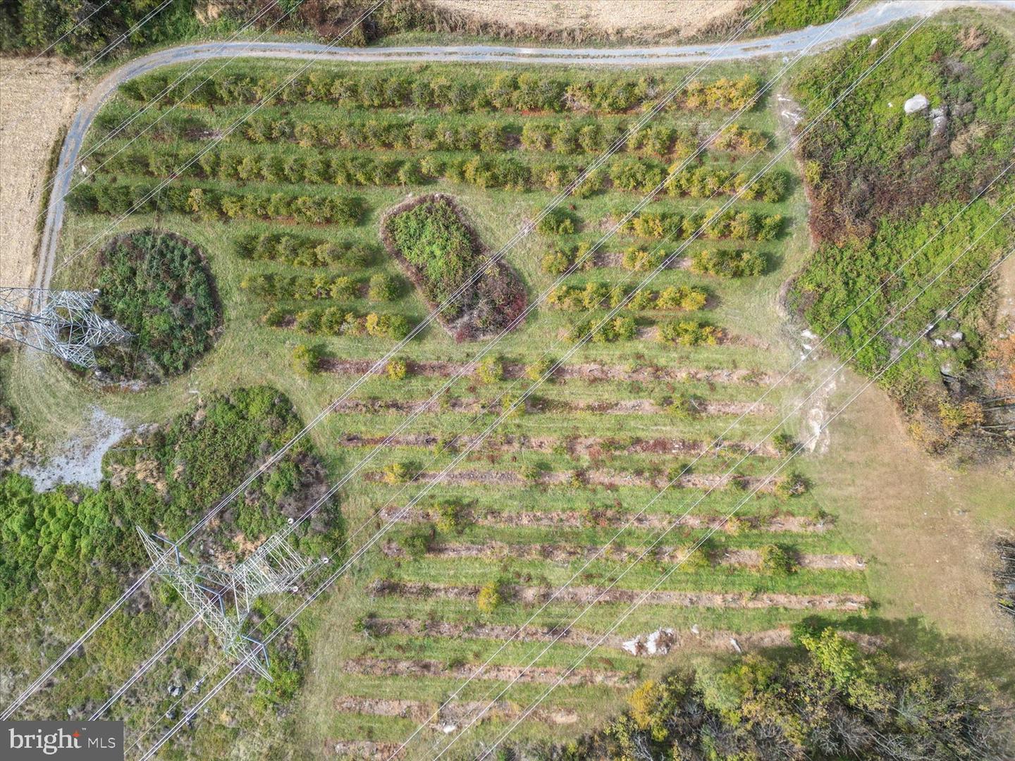 458 HITES RD, STEPHENS CITY, Virginia 22655, ,Farm,For sale,458 HITES RD,VAFV2037666 MLS # VAFV2037666 458 HITES RD, STEPHENS CITY, Virginia 22655, ,Farm,For sale,458 HITES RD,VAFV2037666 MLS # VAFV2037666