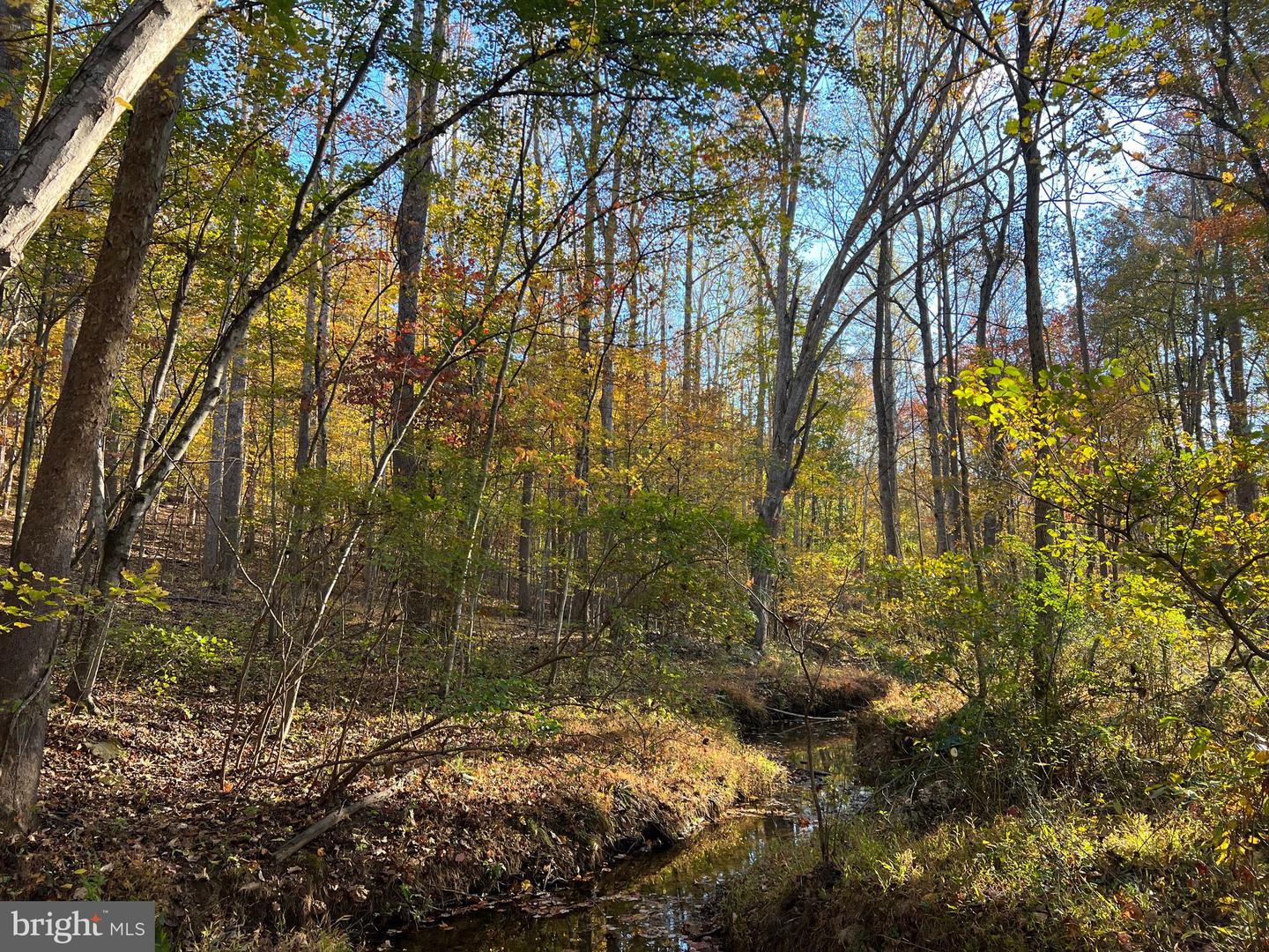 ADA RD, MARSHALL, Virginia 20116, ,Land,For sale,ADA RD,VAFQ2019528 MLS # VAFQ2019528 ADA RD, MARSHALL, Virginia 20116, ,Land,For sale,ADA RD,VAFQ2019528 MLS # VAFQ2019528