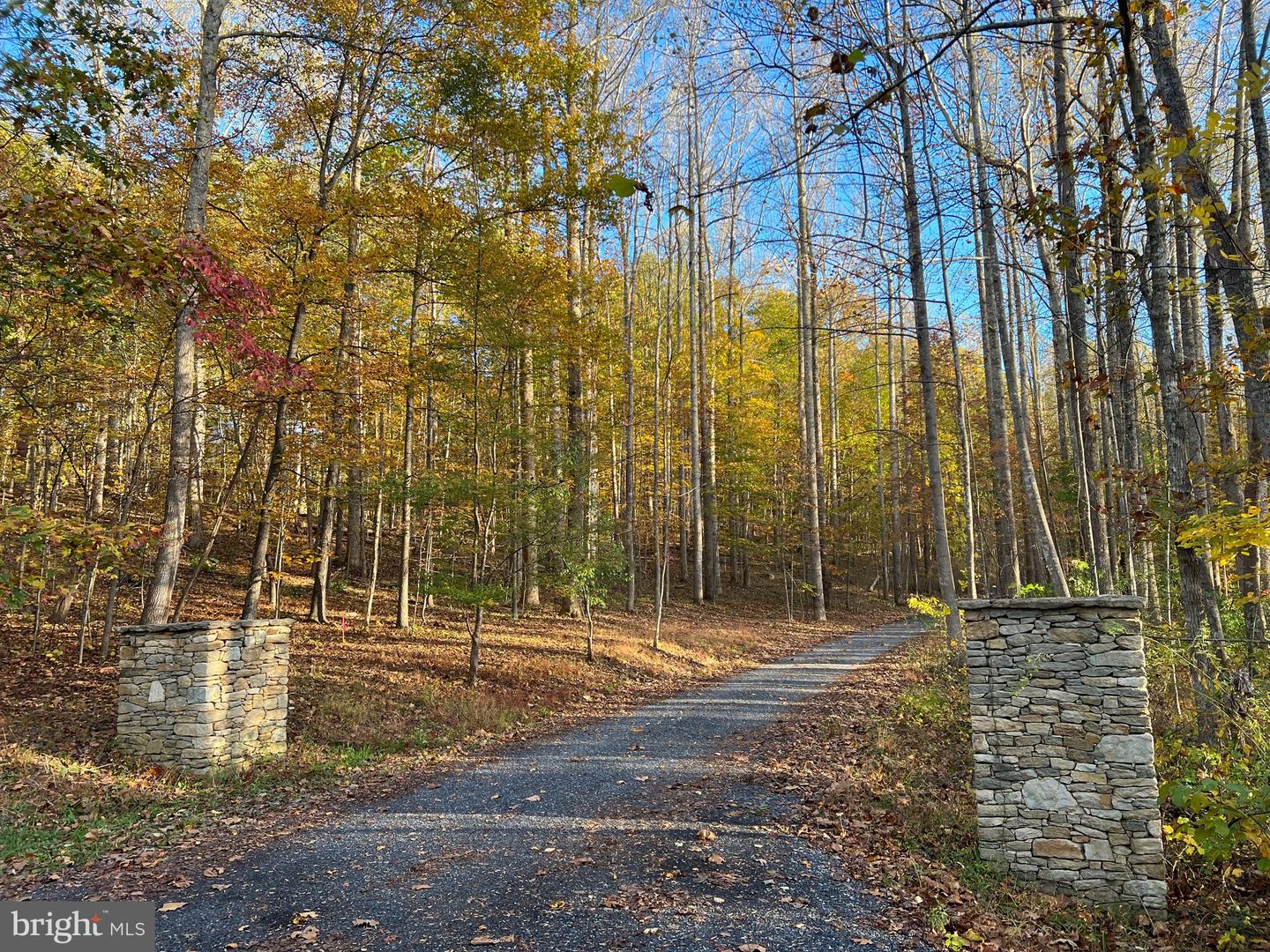 ADA RD, MARSHALL, Virginia 20116, ,Land,For sale,ADA RD,VAFQ2019528 MLS # VAFQ2019528 ADA RD, MARSHALL, Virginia 20116, ,Land,For sale,ADA RD,VAFQ2019528 MLS # VAFQ2019528