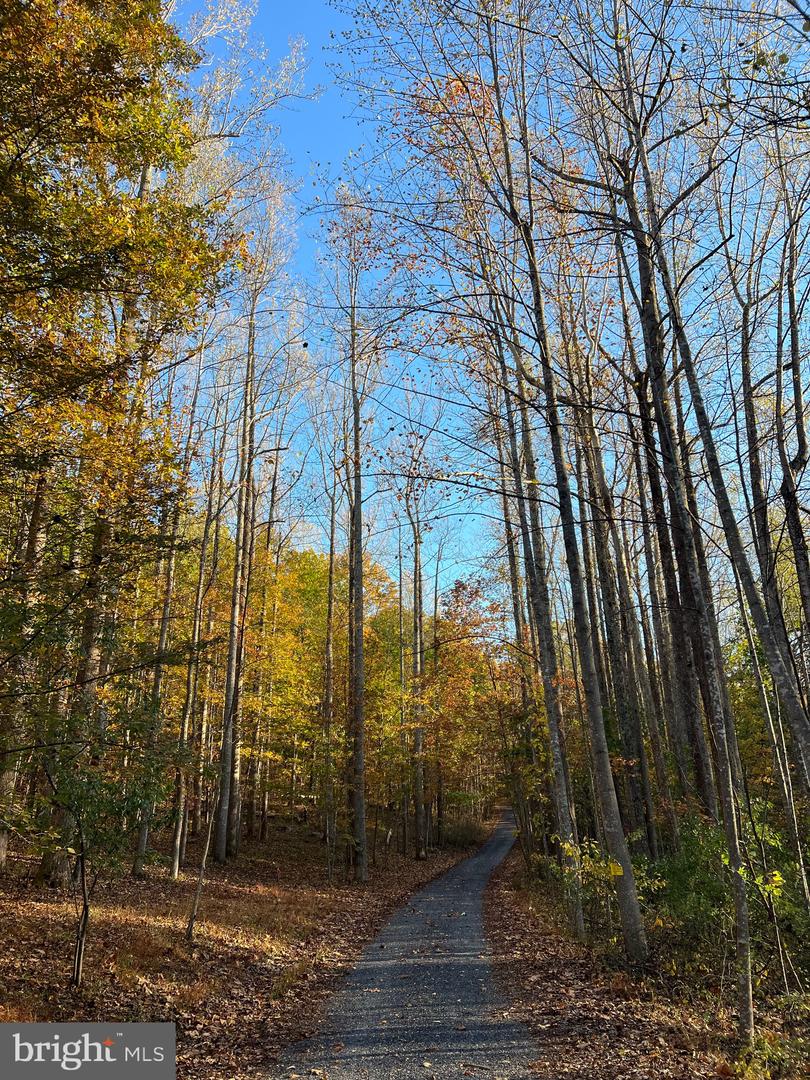 ADA RD, MARSHALL, Virginia 20116, ,Land,For sale,ADA RD,VAFQ2019528 MLS # VAFQ2019528 ADA RD, MARSHALL, Virginia 20116, ,Land,For sale,ADA RD,VAFQ2019528 MLS # VAFQ2019528