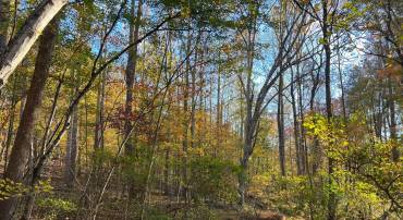 ADA RD, MARSHALL, Virginia 20116, ,Land,For sale,ADA RD,VAFQ2019528 MLS # VAFQ2019528