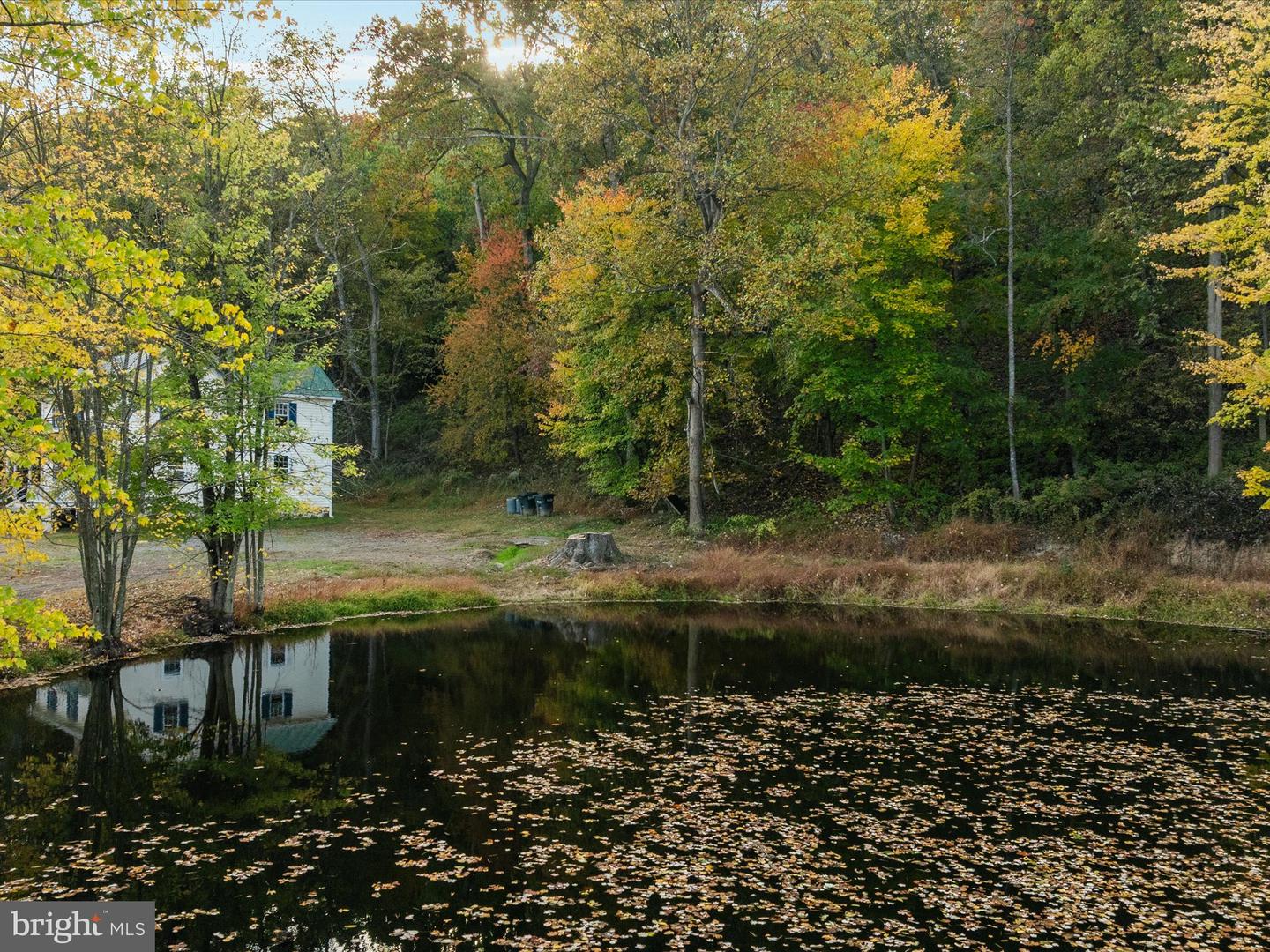 17551 OLD WATERFORD RD, LEESBURG, Virginia 20176, ,Land,For sale,17551 OLD WATERFORD RD,VALO2109834 MLS # VALO2109834