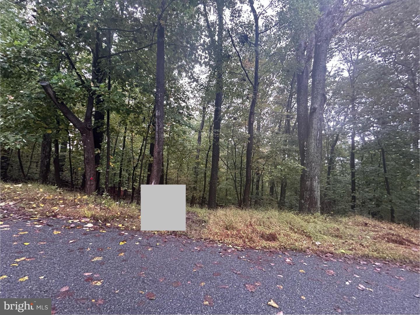 15943 WARBURTON DR, HAYMARKET, Virginia 20169, ,Land,For sale,15943 WARBURTON DR,VAPW2107062 MLS # VAPW2107062 15943 WARBURTON DR, HAYMARKET, Virginia 20169, ,Land,For sale,15943 WARBURTON DR,VAPW2107062 MLS # VAPW2107062