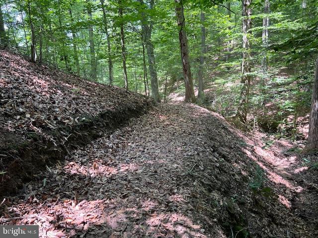 39 RIVER RIDGE LN, FREDERICKSBURG, Virginia 22406, 5 Bedrooms Bedrooms, ,4 BathroomsBathrooms,Residential,For sale,39 RIVER RIDGE LN,VAST2040254 MLS # VAST2040254 39 RIVER RIDGE LN, FREDERICKSBURG, Virginia 22406, 5 Bedrooms Bedrooms, ,4 BathroomsBathrooms,Residential,For sale,39 RIVER RIDGE LN,VAST2040254 MLS # VAST2040254