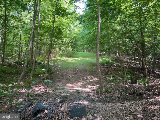 39 RIVER RIDGE LN, FREDERICKSBURG, Virginia 22406, 5 Bedrooms Bedrooms, ,4 BathroomsBathrooms,Residential,For sale,39 RIVER RIDGE LN,VAST2040254 MLS # VAST2040254 39 RIVER RIDGE LN, FREDERICKSBURG, Virginia 22406, 5 Bedrooms Bedrooms, ,4 BathroomsBathrooms,Residential,For sale,39 RIVER RIDGE LN,VAST2040254 MLS # VAST2040254