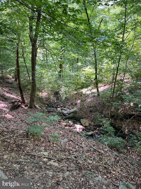 39 RIVER RIDGE LN, FREDERICKSBURG, Virginia 22406, 5 Bedrooms Bedrooms, ,4 BathroomsBathrooms,Residential,For sale,39 RIVER RIDGE LN,VAST2040254 MLS # VAST2040254 39 RIVER RIDGE LN, FREDERICKSBURG, Virginia 22406, 5 Bedrooms Bedrooms, ,4 BathroomsBathrooms,Residential,For sale,39 RIVER RIDGE LN,VAST2040254 MLS # VAST2040254