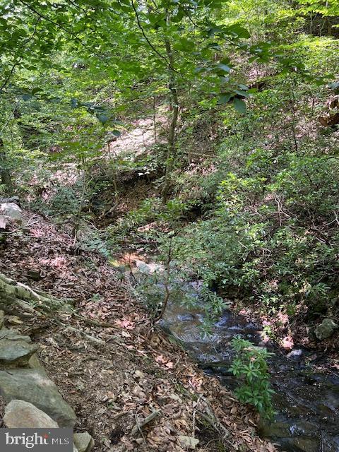 39 RIVER RIDGE LN, FREDERICKSBURG, Virginia 22406, 5 Bedrooms Bedrooms, ,4 BathroomsBathrooms,Residential,For sale,39 RIVER RIDGE LN,VAST2040254 MLS # VAST2040254 39 RIVER RIDGE LN, FREDERICKSBURG, Virginia 22406, 5 Bedrooms Bedrooms, ,4 BathroomsBathrooms,Residential,For sale,39 RIVER RIDGE LN,VAST2040254 MLS # VAST2040254