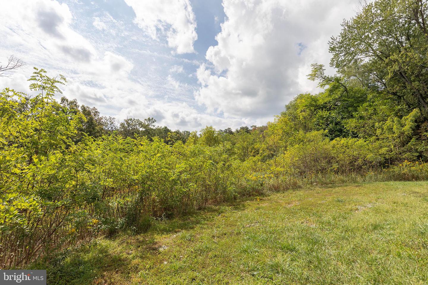 191 CHAPMAN LN, WINCHESTER, Virginia 22603, 3 Bedrooms Bedrooms, ,2 BathroomsBathrooms,Residential,For sale,191 CHAPMAN LN,VAFV2037124 MLS # VAFV2037124