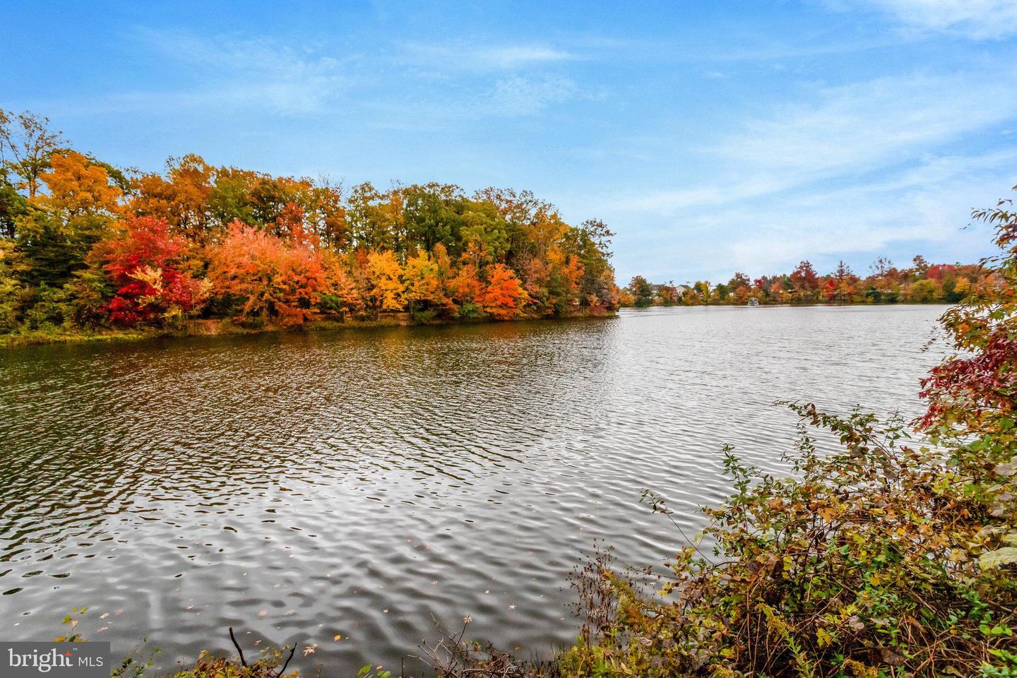 6547 GRANGE LN #104, ALEXANDRIA, Virginia 22315, 2 Bedrooms Bedrooms, ,2 BathroomsBathrooms,Residential,For sale,6547 GRANGE LN #104,VAFX2274634 MLS # VAFX2274634 6547 GRANGE LN #104, ALEXANDRIA, Virginia 22315, 2 Bedrooms Bedrooms, ,2 BathroomsBathrooms,Residential,For sale,6547 GRANGE LN #104,VAFX2274634 MLS # VAFX2274634