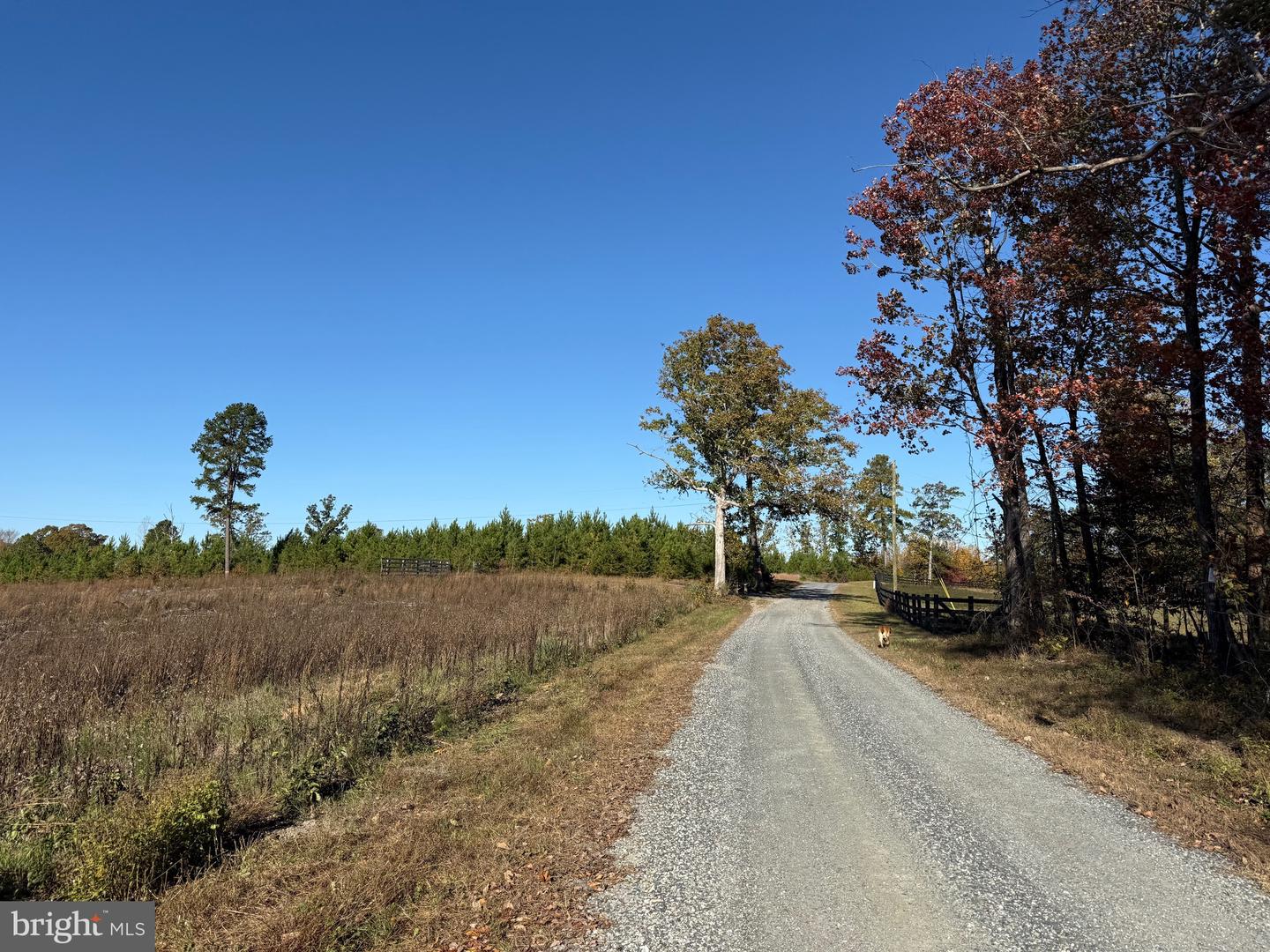 0 HAPPY HOLLOW RD, SCOTTSVILLE, Virginia 24590, ,Land,For sale,0 HAPPY HOLLOW RD,VABH2000232 MLS # VABH2000232 0 HAPPY HOLLOW RD, SCOTTSVILLE, Virginia 24590, ,Land,For sale,0 HAPPY HOLLOW RD,VABH2000232 MLS # VABH2000232