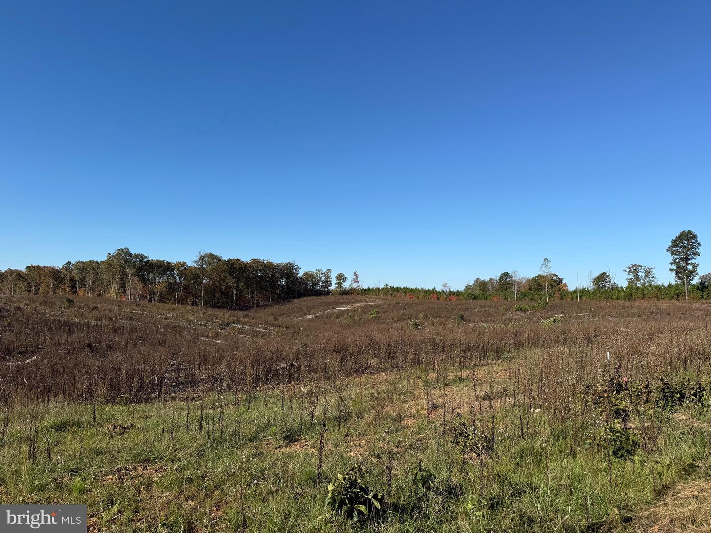 0 HAPPY HOLLOW RD, SCOTTSVILLE, Virginia 24590, ,Land,For sale,0 HAPPY HOLLOW RD,VABH2000232 MLS # VABH2000232 0 HAPPY HOLLOW RD, SCOTTSVILLE, Virginia 24590, ,Land,For sale,0 HAPPY HOLLOW RD,VABH2000232 MLS # VABH2000232