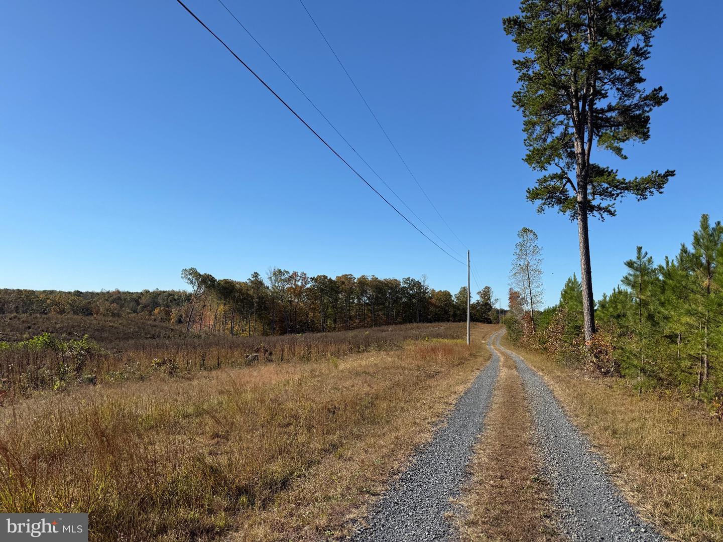 0 HAPPY HOLLOW RD, SCOTTSVILLE, Virginia 24590, ,Land,For sale,0 HAPPY HOLLOW RD,VABH2000232 MLS # VABH2000232 0 HAPPY HOLLOW RD, SCOTTSVILLE, Virginia 24590, ,Land,For sale,0 HAPPY HOLLOW RD,VABH2000232 MLS # VABH2000232