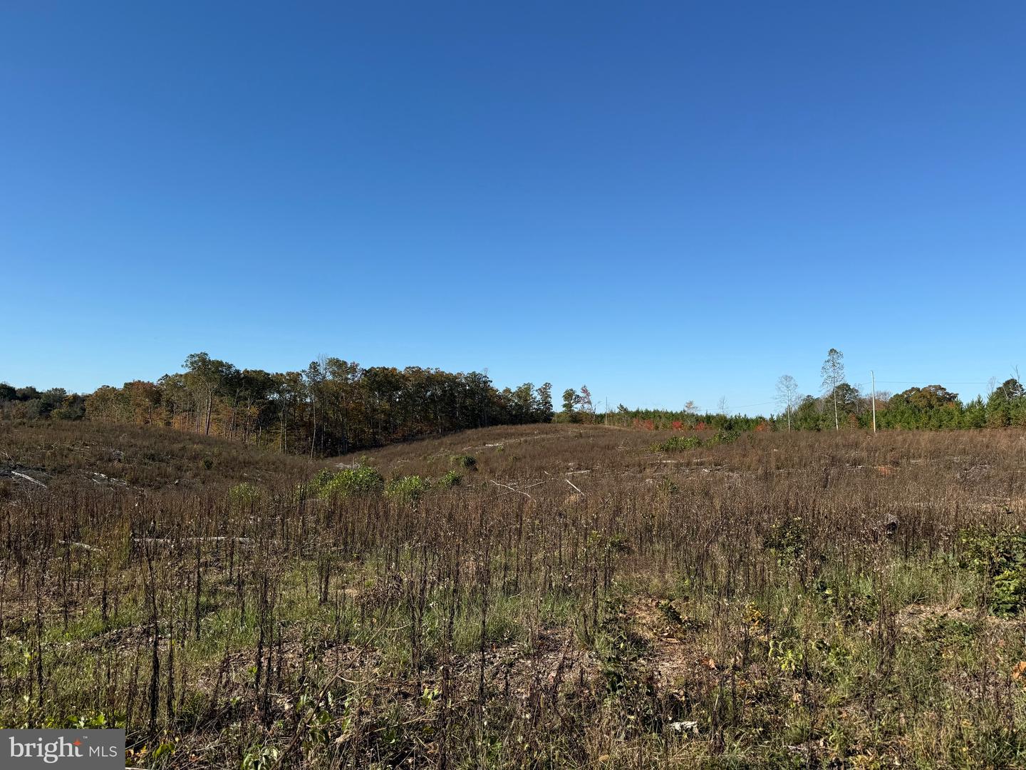 0 HAPPY HOLLOW RD, SCOTTSVILLE, Virginia 24590, ,Land,For sale,0 HAPPY HOLLOW RD,VABH2000232 MLS # VABH2000232 0 HAPPY HOLLOW RD, SCOTTSVILLE, Virginia 24590, ,Land,For sale,0 HAPPY HOLLOW RD,VABH2000232 MLS # VABH2000232