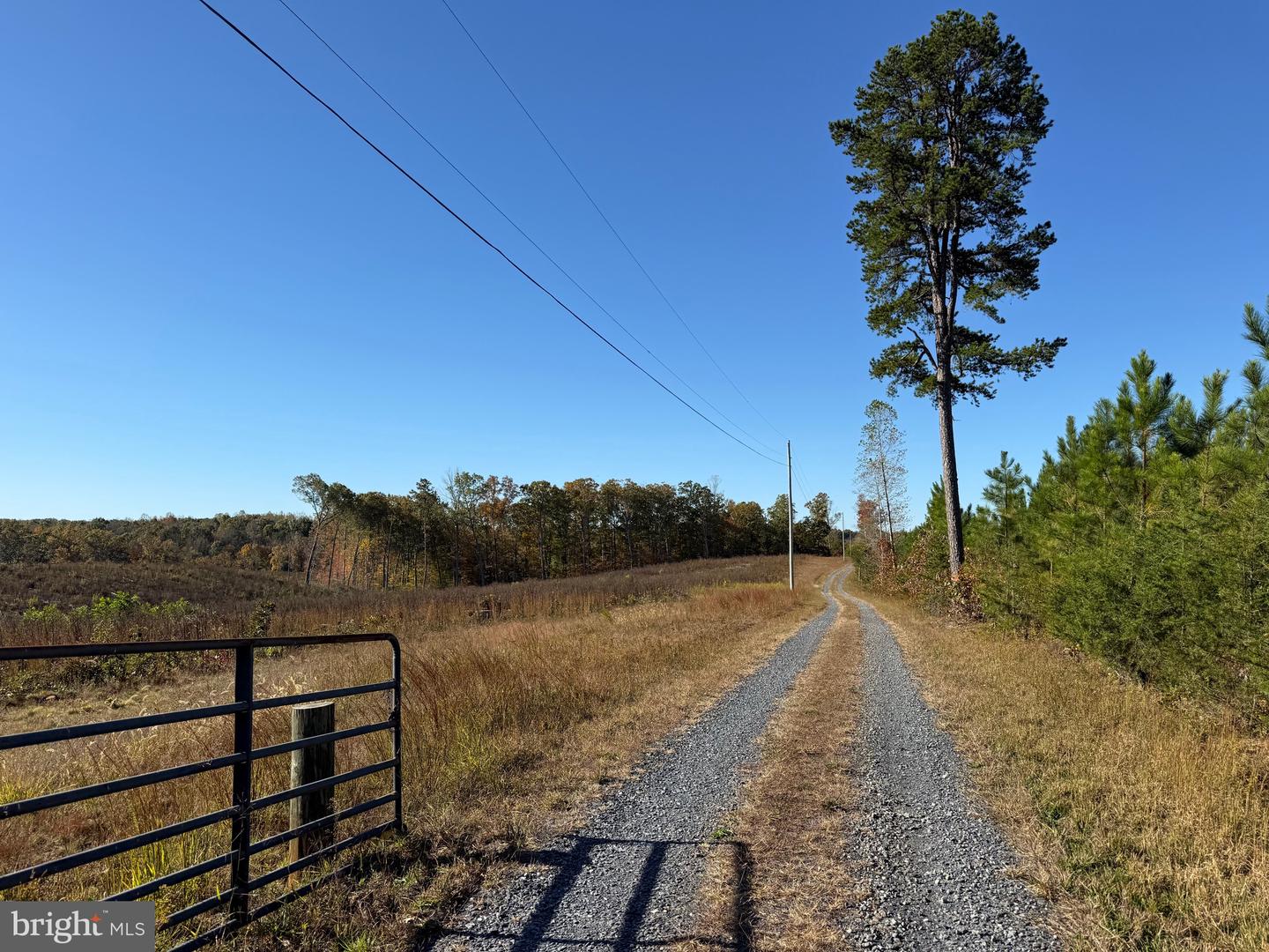 0 HAPPY HOLLOW RD, SCOTTSVILLE, Virginia 24590, ,Land,For sale,0 HAPPY HOLLOW RD,VABH2000232 MLS # VABH2000232 0 HAPPY HOLLOW RD, SCOTTSVILLE, Virginia 24590, ,Land,For sale,0 HAPPY HOLLOW RD,VABH2000232 MLS # VABH2000232