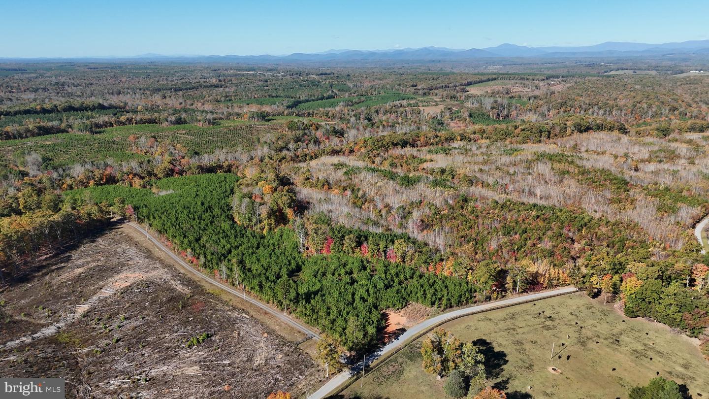 0 HAPPY HOLLOW RD, SCOTTSVILLE, Virginia 24590, ,Land,For sale,0 HAPPY HOLLOW RD,VABH2000232 MLS # VABH2000232 0 HAPPY HOLLOW RD, SCOTTSVILLE, Virginia 24590, ,Land,For sale,0 HAPPY HOLLOW RD,VABH2000232 MLS # VABH2000232