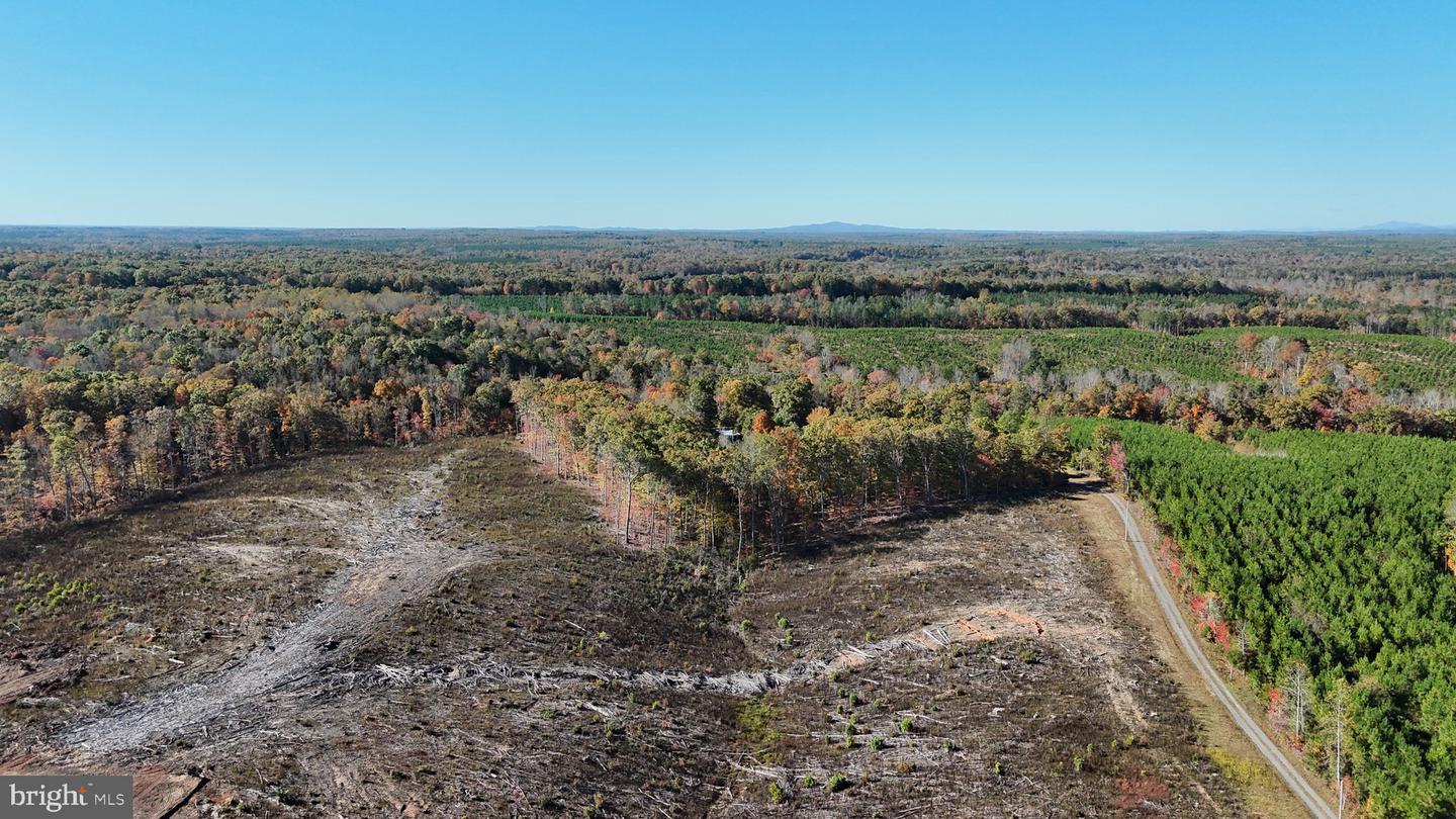 0 HAPPY HOLLOW RD, SCOTTSVILLE, Virginia 24590, ,Land,For sale,0 HAPPY HOLLOW RD,VABH2000232 MLS # VABH2000232 0 HAPPY HOLLOW RD, SCOTTSVILLE, Virginia 24590, ,Land,For sale,0 HAPPY HOLLOW RD,VABH2000232 MLS # VABH2000232