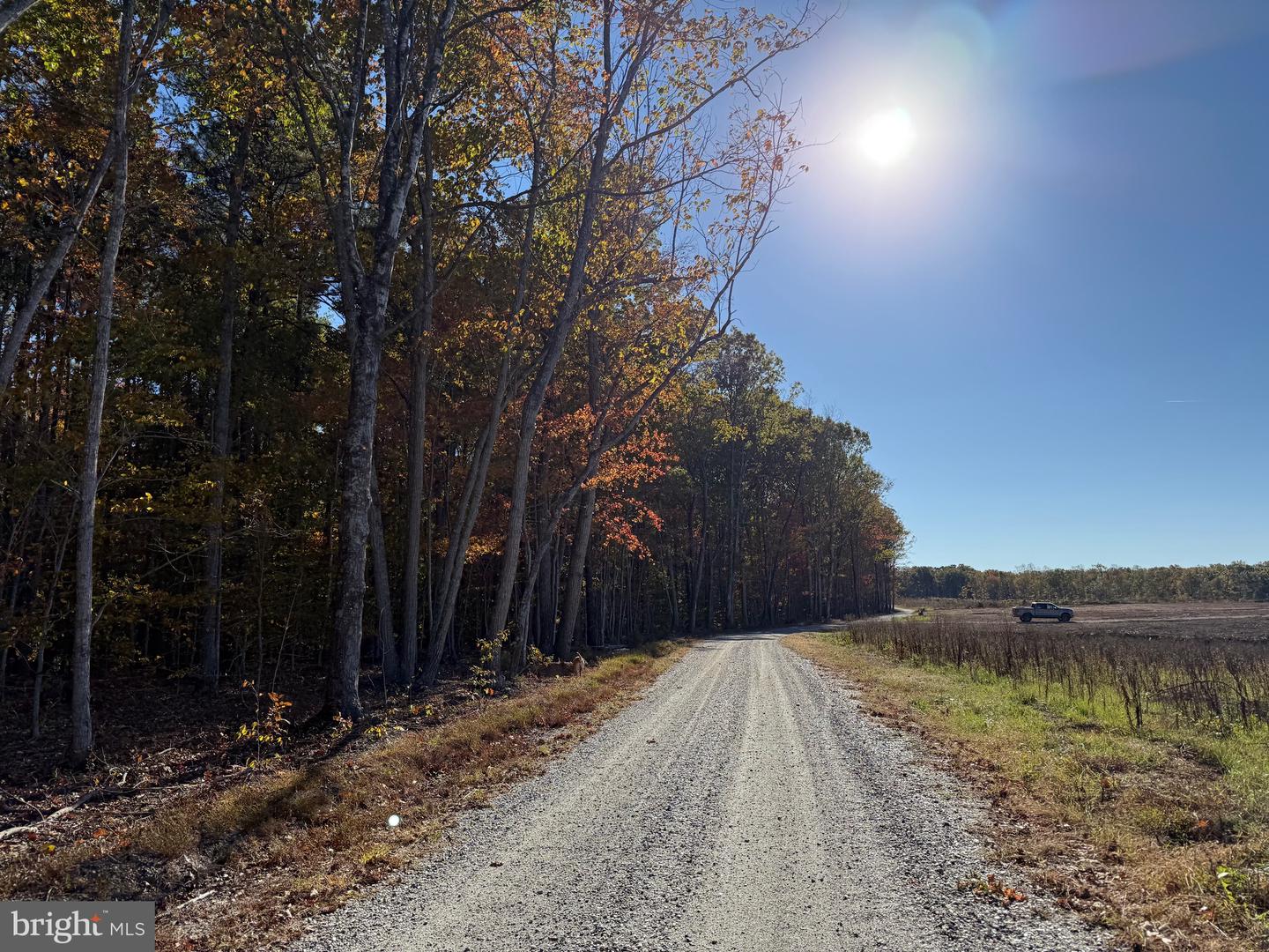 0 HAPPY HOLLOW RD, SCOTTSVILLE, Virginia 24590, ,Land,For sale,0 HAPPY HOLLOW RD,VABH2000232 MLS # VABH2000232 0 HAPPY HOLLOW RD, SCOTTSVILLE, Virginia 24590, ,Land,For sale,0 HAPPY HOLLOW RD,VABH2000232 MLS # VABH2000232