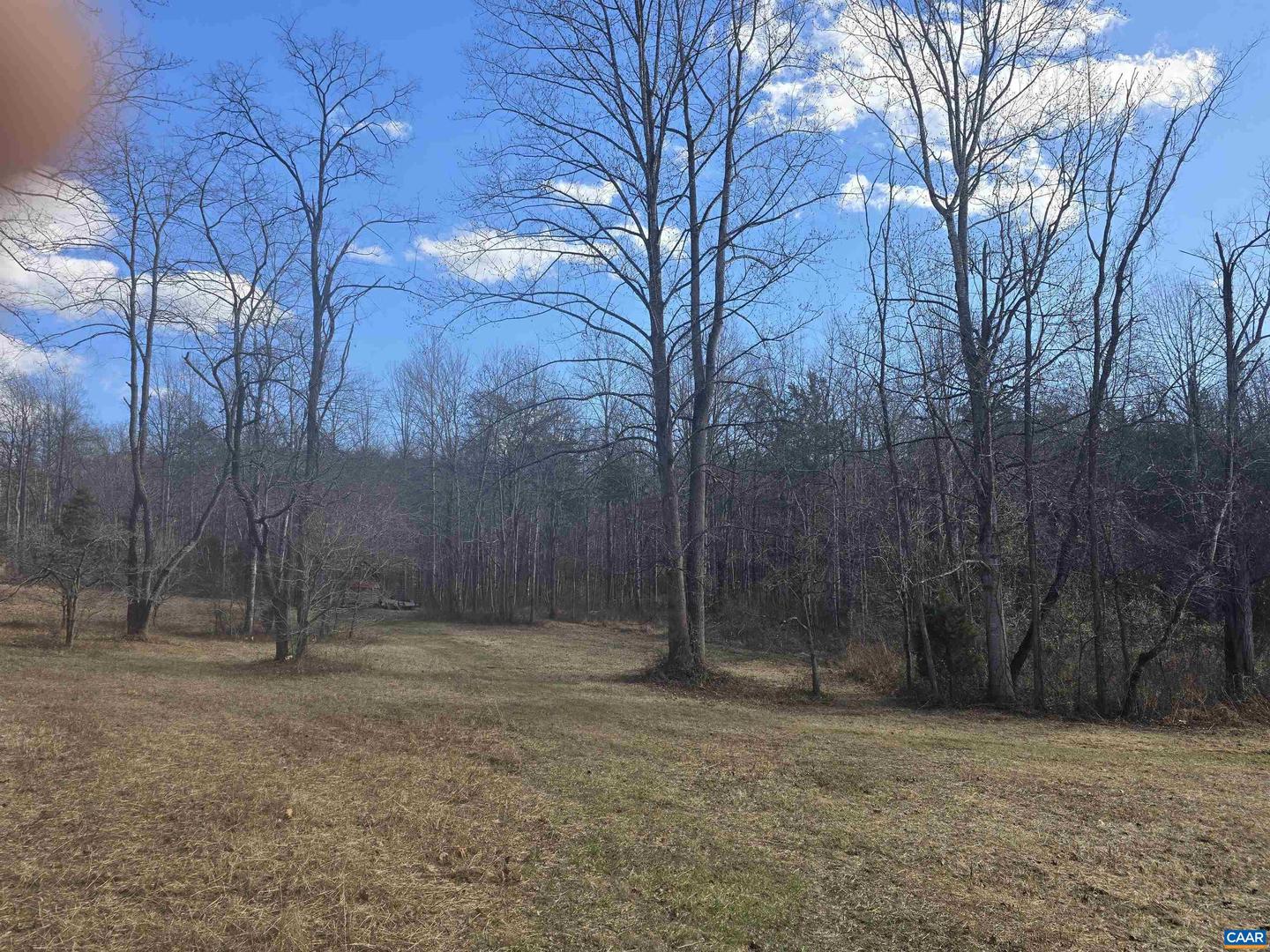 LOT C SYCAMORE LN, RUCKERSVILLE, Virginia 22968, ,Land,For sale,LOT C SYCAMORE LN,670621 MLS # 670621 LOT C SYCAMORE LN, RUCKERSVILLE, Virginia 22968, ,Land,For sale,LOT C SYCAMORE LN,670621 MLS # 670621
