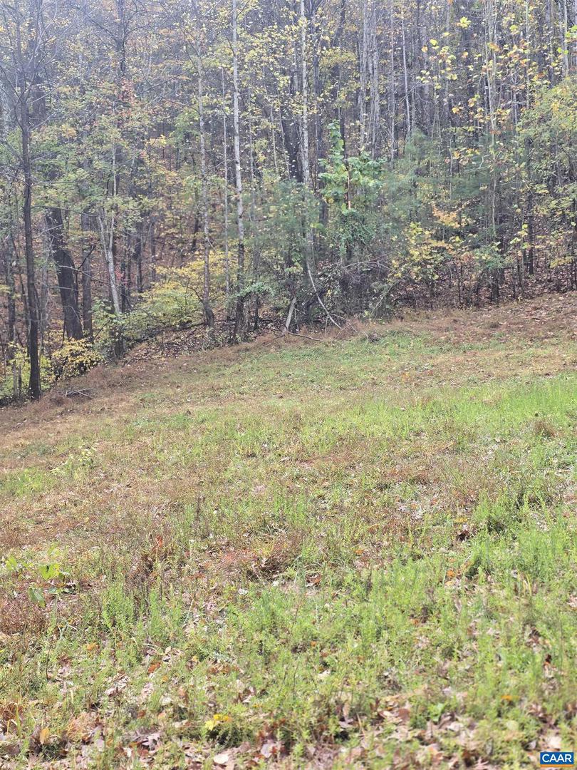 0 MIDDLE RIVER RD, STANARDSVILLE, Virginia 22973, ,Land,For sale,0 MIDDLE RIVER RD,670623 MLS # 670623 0 MIDDLE RIVER RD, STANARDSVILLE, Virginia 22973, ,Land,For sale,0 MIDDLE RIVER RD,670623 MLS # 670623