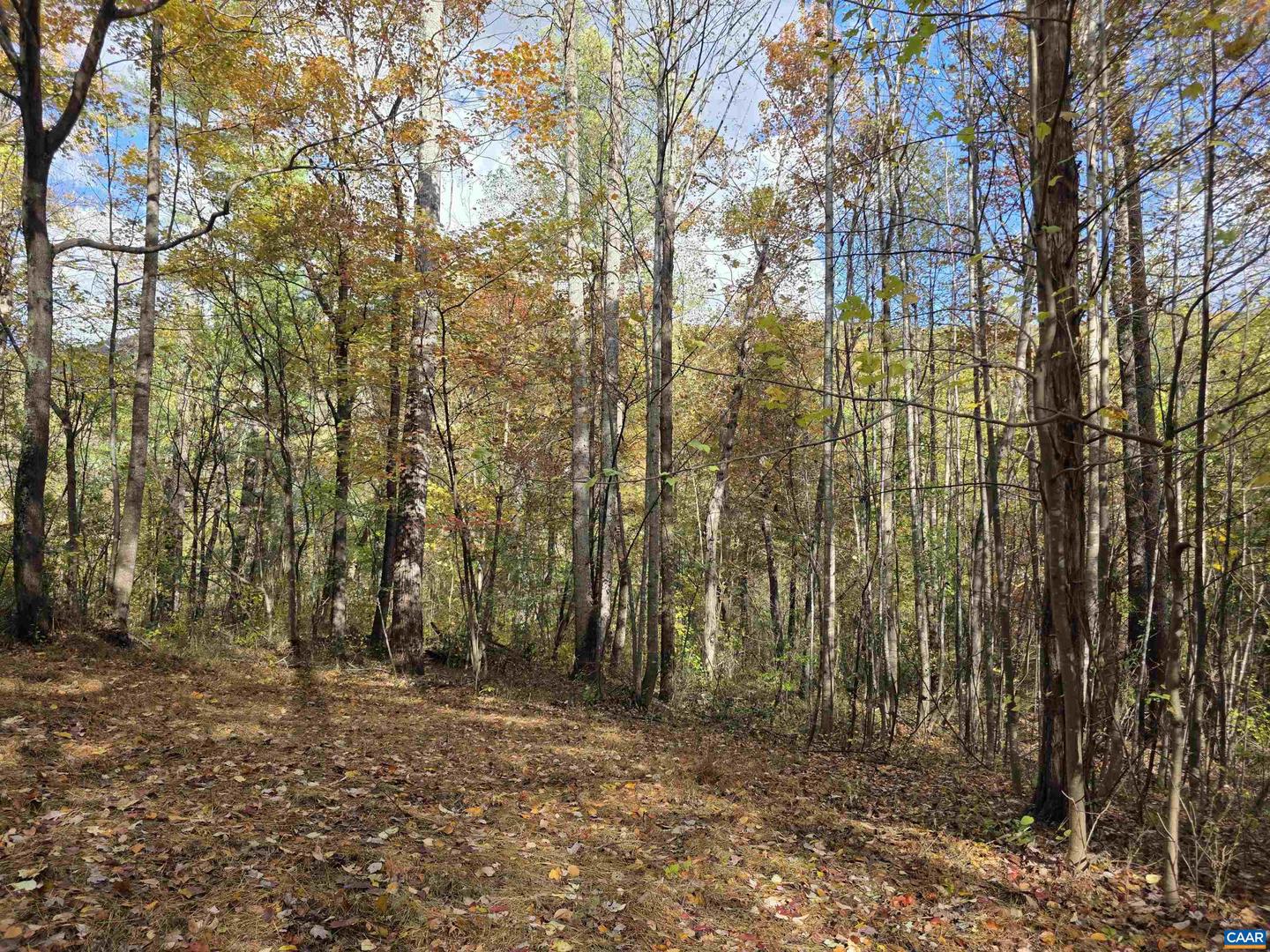 00 MIDDLE RIVER RD, STANARDSVILLE, Virginia 22973, ,Land,For sale,00 MIDDLE RIVER RD,670626 MLS # 670626 00 MIDDLE RIVER RD, STANARDSVILLE, Virginia 22973, ,Land,For sale,00 MIDDLE RIVER RD,670626 MLS # 670626