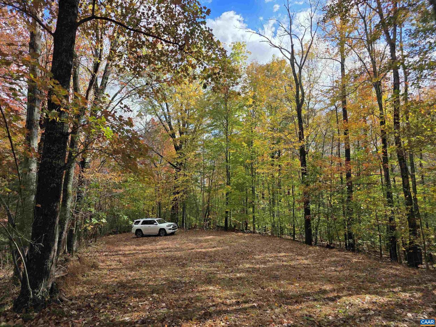 00 MIDDLE RIVER RD, STANARDSVILLE, Virginia 22973, ,Land,For sale,00 MIDDLE RIVER RD,670626 MLS # 670626 00 MIDDLE RIVER RD, STANARDSVILLE, Virginia 22973, ,Land,For sale,00 MIDDLE RIVER RD,670626 MLS # 670626