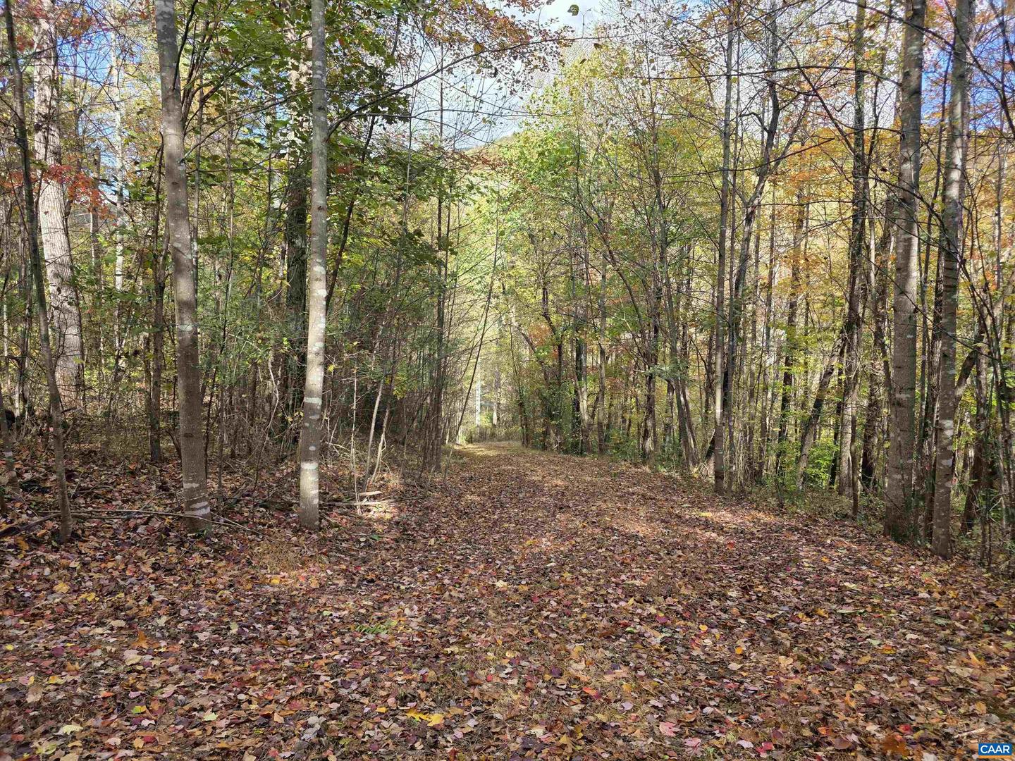 00 MIDDLE RIVER RD, STANARDSVILLE, Virginia 22973, ,Land,For sale,00 MIDDLE RIVER RD,670626 MLS # 670626 00 MIDDLE RIVER RD, STANARDSVILLE, Virginia 22973, ,Land,For sale,00 MIDDLE RIVER RD,670626 MLS # 670626