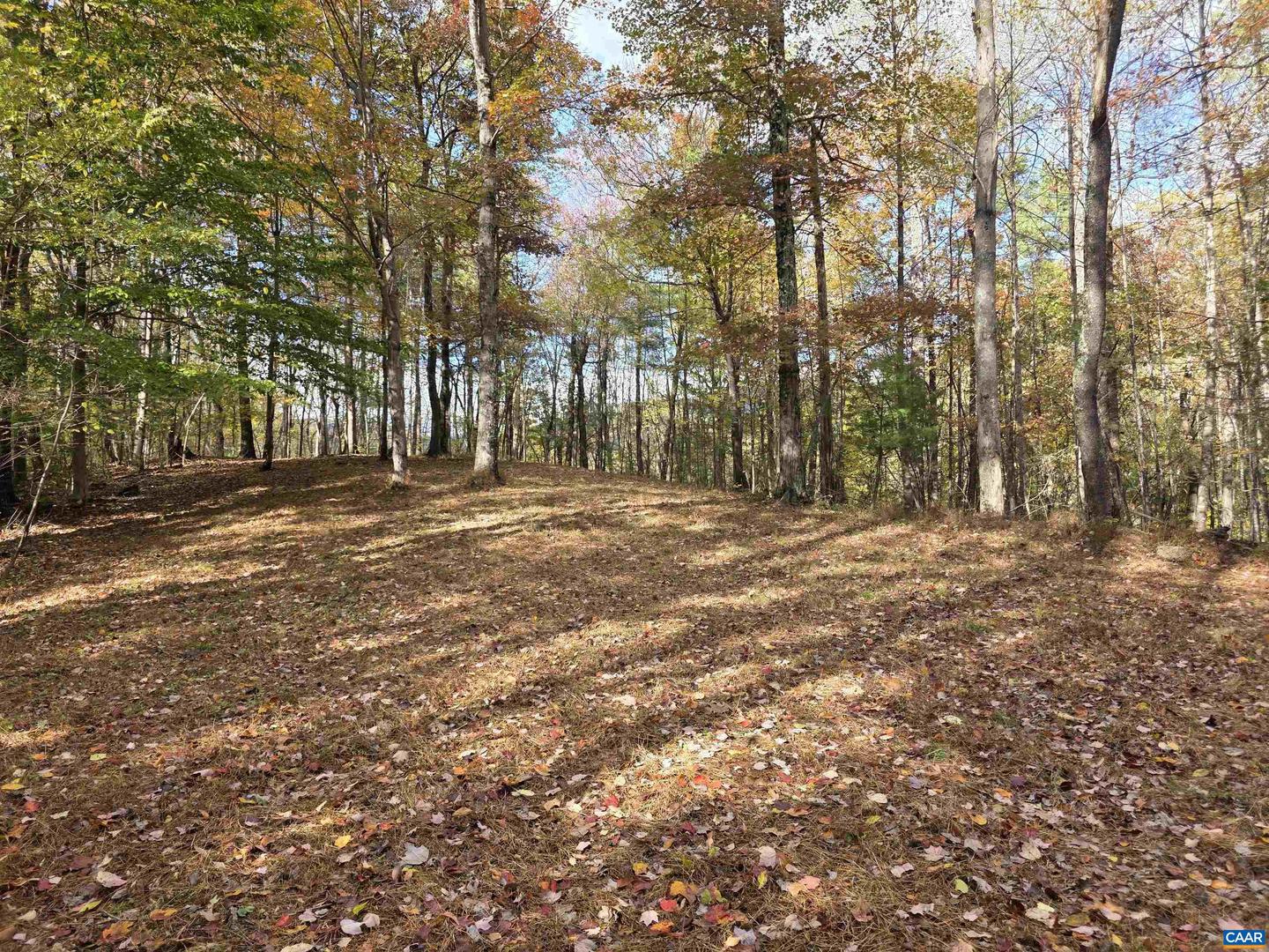 00 MIDDLE RIVER RD, STANARDSVILLE, Virginia 22973, ,Land,For sale,00 MIDDLE RIVER RD,670626 MLS # 670626 00 MIDDLE RIVER RD, STANARDSVILLE, Virginia 22973, ,Land,For sale,00 MIDDLE RIVER RD,670626 MLS # 670626