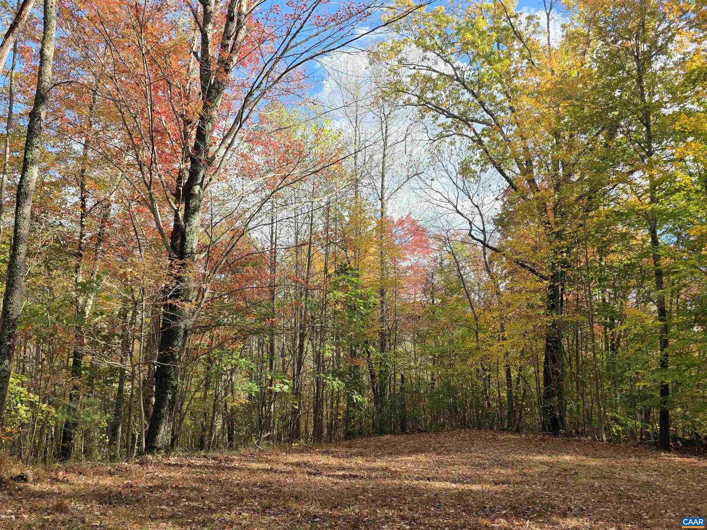 00 MIDDLE RIVER RD, STANARDSVILLE, Virginia 22973, ,Land,For sale,00 MIDDLE RIVER RD,670626 MLS # 670626 00 MIDDLE RIVER RD, STANARDSVILLE, Virginia 22973, ,Land,For sale,00 MIDDLE RIVER RD,670626 MLS # 670626