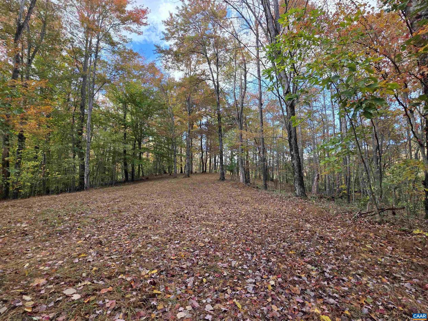 00 MIDDLE RIVER RD, STANARDSVILLE, Virginia 22973, ,Land,For sale,00 MIDDLE RIVER RD,670626 MLS # 670626 00 MIDDLE RIVER RD, STANARDSVILLE, Virginia 22973, ,Land,For sale,00 MIDDLE RIVER RD,670626 MLS # 670626