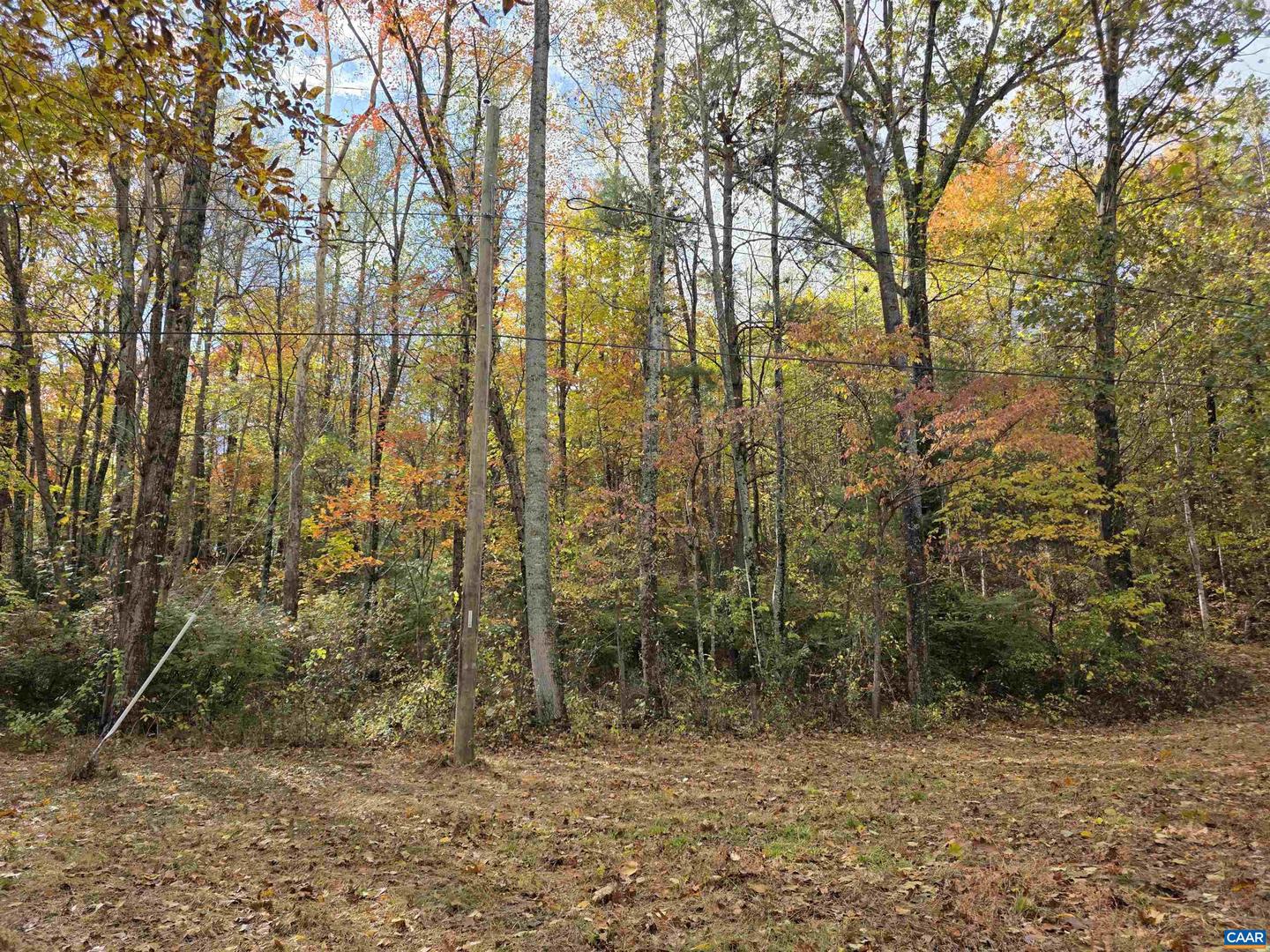 00 MIDDLE RIVER RD, STANARDSVILLE, Virginia 22973, ,Land,For sale,00 MIDDLE RIVER RD,670626 MLS # 670626 00 MIDDLE RIVER RD, STANARDSVILLE, Virginia 22973, ,Land,For sale,00 MIDDLE RIVER RD,670626 MLS # 670626