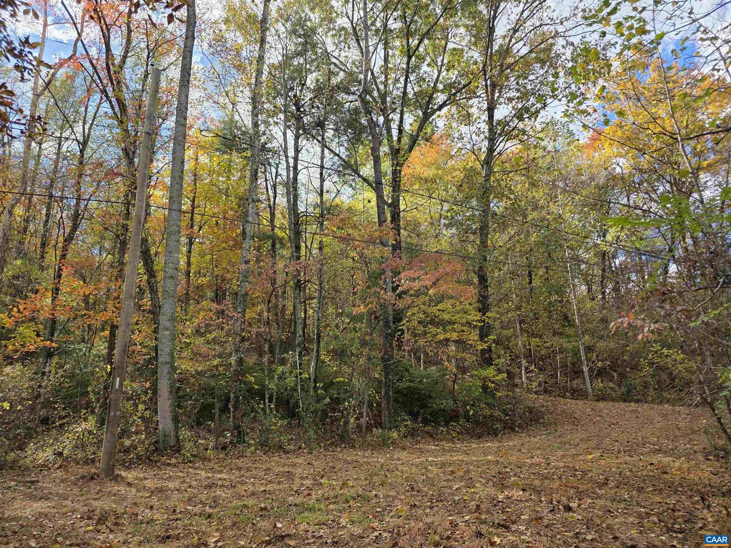 00 MIDDLE RIVER RD, STANARDSVILLE, Virginia 22973, ,Land,For sale,00 MIDDLE RIVER RD,670626 MLS # 670626 00 MIDDLE RIVER RD, STANARDSVILLE, Virginia 22973, ,Land,For sale,00 MIDDLE RIVER RD,670626 MLS # 670626