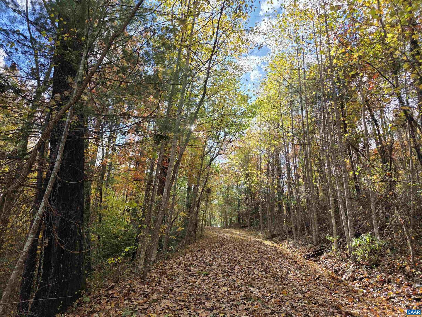 00 MIDDLE RIVER RD, STANARDSVILLE, Virginia 22973, ,Land,For sale,00 MIDDLE RIVER RD,670626 MLS # 670626 00 MIDDLE RIVER RD, STANARDSVILLE, Virginia 22973, ,Land,For sale,00 MIDDLE RIVER RD,670626 MLS # 670626