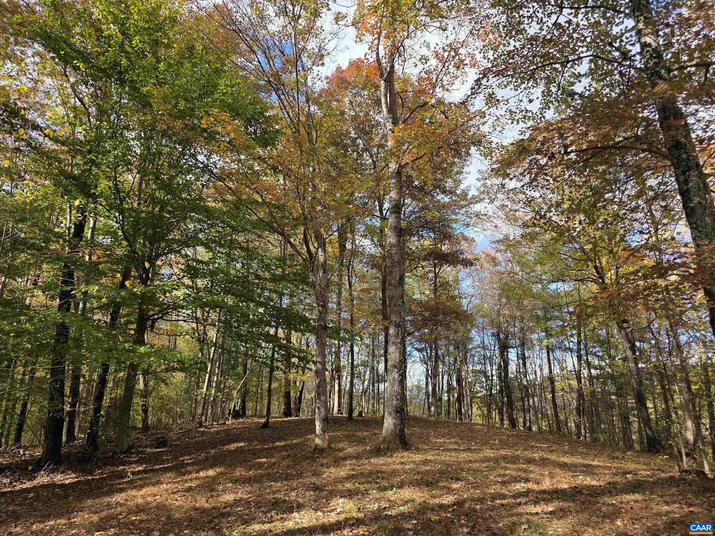 00 MIDDLE RIVER RD, STANARDSVILLE, Virginia 22973, ,Land,For sale,00 MIDDLE RIVER RD,670626 MLS # 670626 00 MIDDLE RIVER RD, STANARDSVILLE, Virginia 22973, ,Land,For sale,00 MIDDLE RIVER RD,670626 MLS # 670626