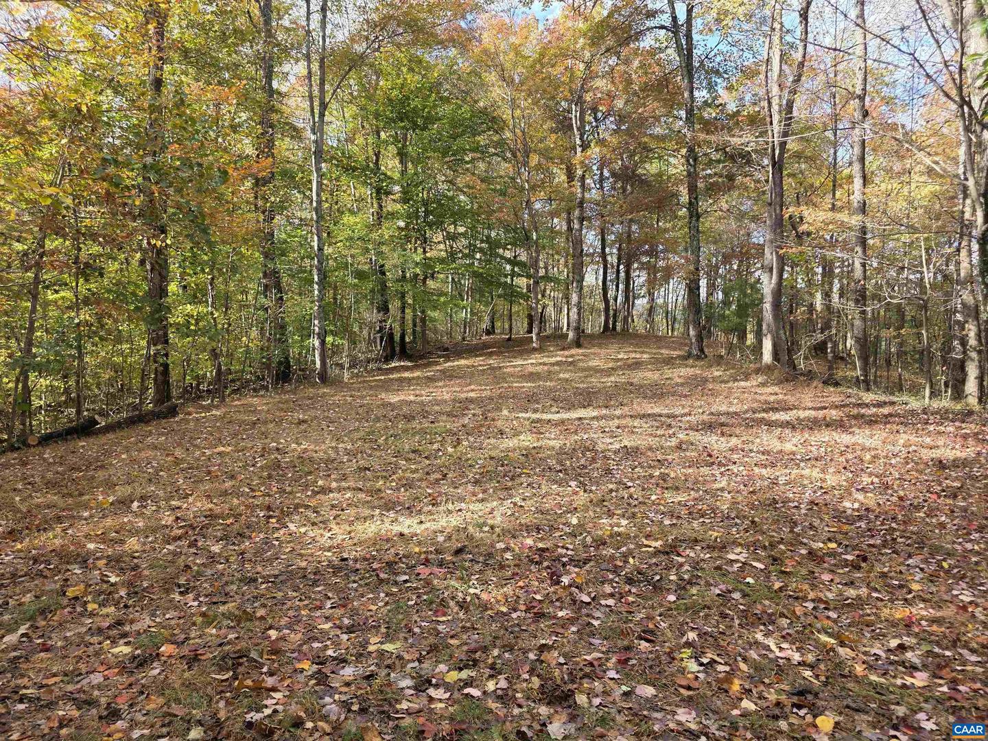 00 MIDDLE RIVER RD, STANARDSVILLE, Virginia 22973, ,Land,For sale,00 MIDDLE RIVER RD,670626 MLS # 670626 00 MIDDLE RIVER RD, STANARDSVILLE, Virginia 22973, ,Land,For sale,00 MIDDLE RIVER RD,670626 MLS # 670626