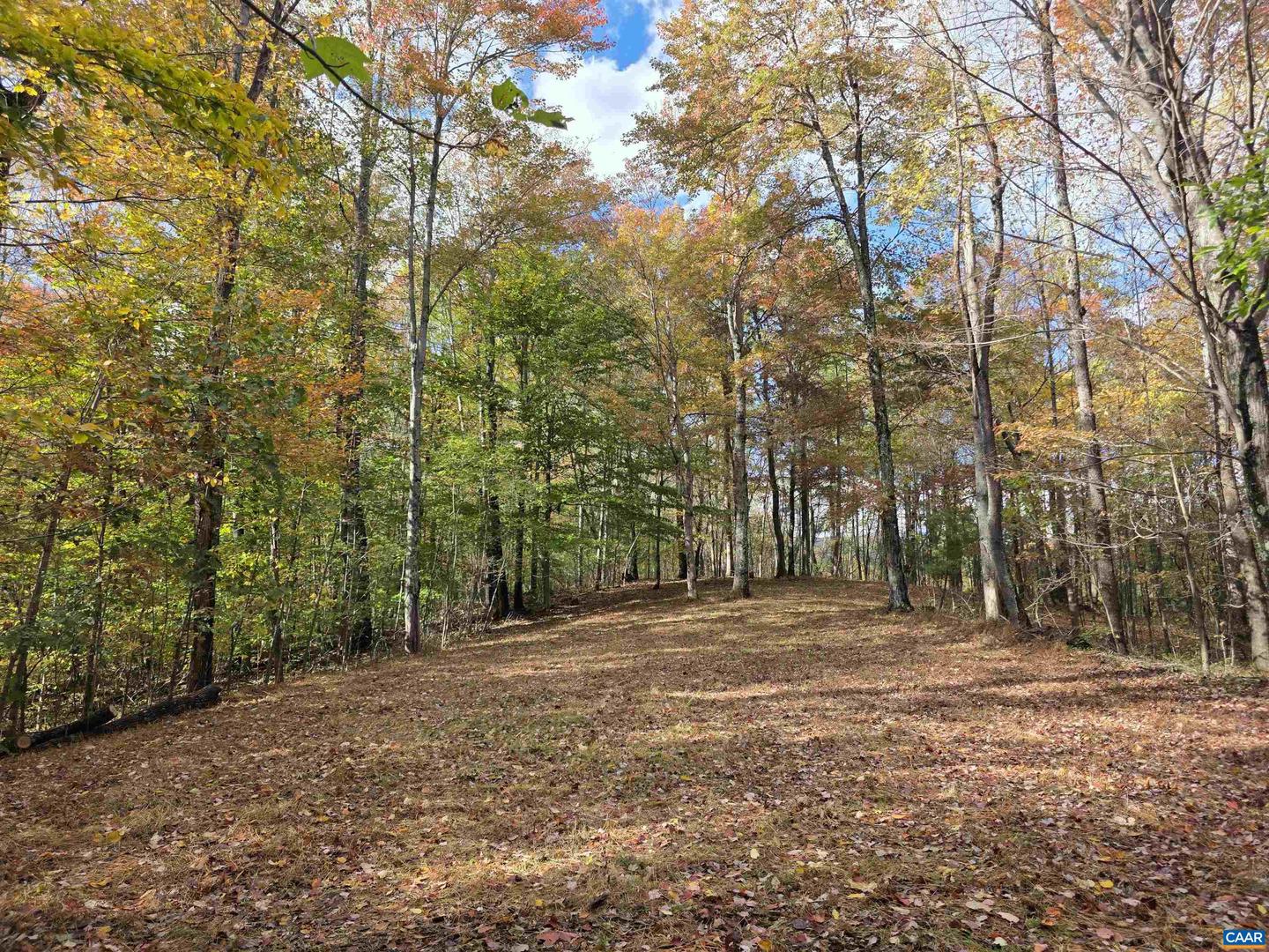 00 MIDDLE RIVER RD, STANARDSVILLE, Virginia 22973, ,Land,For sale,00 MIDDLE RIVER RD,670626 MLS # 670626 00 MIDDLE RIVER RD, STANARDSVILLE, Virginia 22973, ,Land,For sale,00 MIDDLE RIVER RD,670626 MLS # 670626