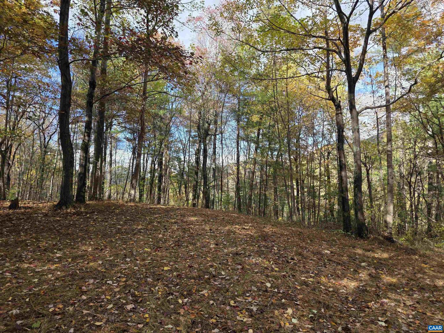 00 MIDDLE RIVER RD, STANARDSVILLE, Virginia 22973, ,Land,For sale,00 MIDDLE RIVER RD,670626 MLS # 670626 00 MIDDLE RIVER RD, STANARDSVILLE, Virginia 22973, ,Land,For sale,00 MIDDLE RIVER RD,670626 MLS # 670626