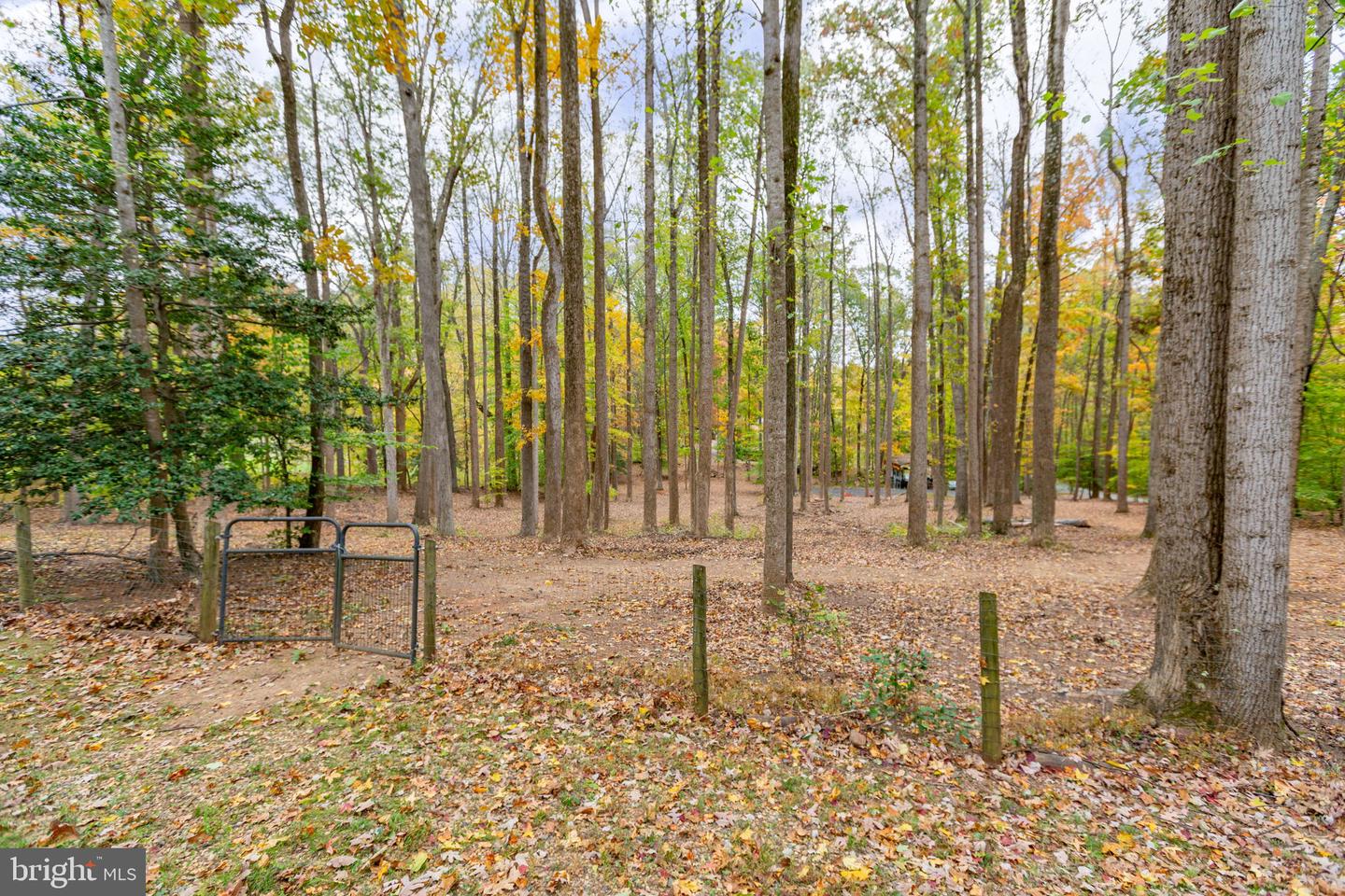 59 CREEK LN, FREDERICKSBURG, Virginia 22406, 4 Bedrooms Bedrooms, ,4 BathroomsBathrooms,Residential,For sale,59 CREEK LN,VAST2043946 MLS # VAST2043946