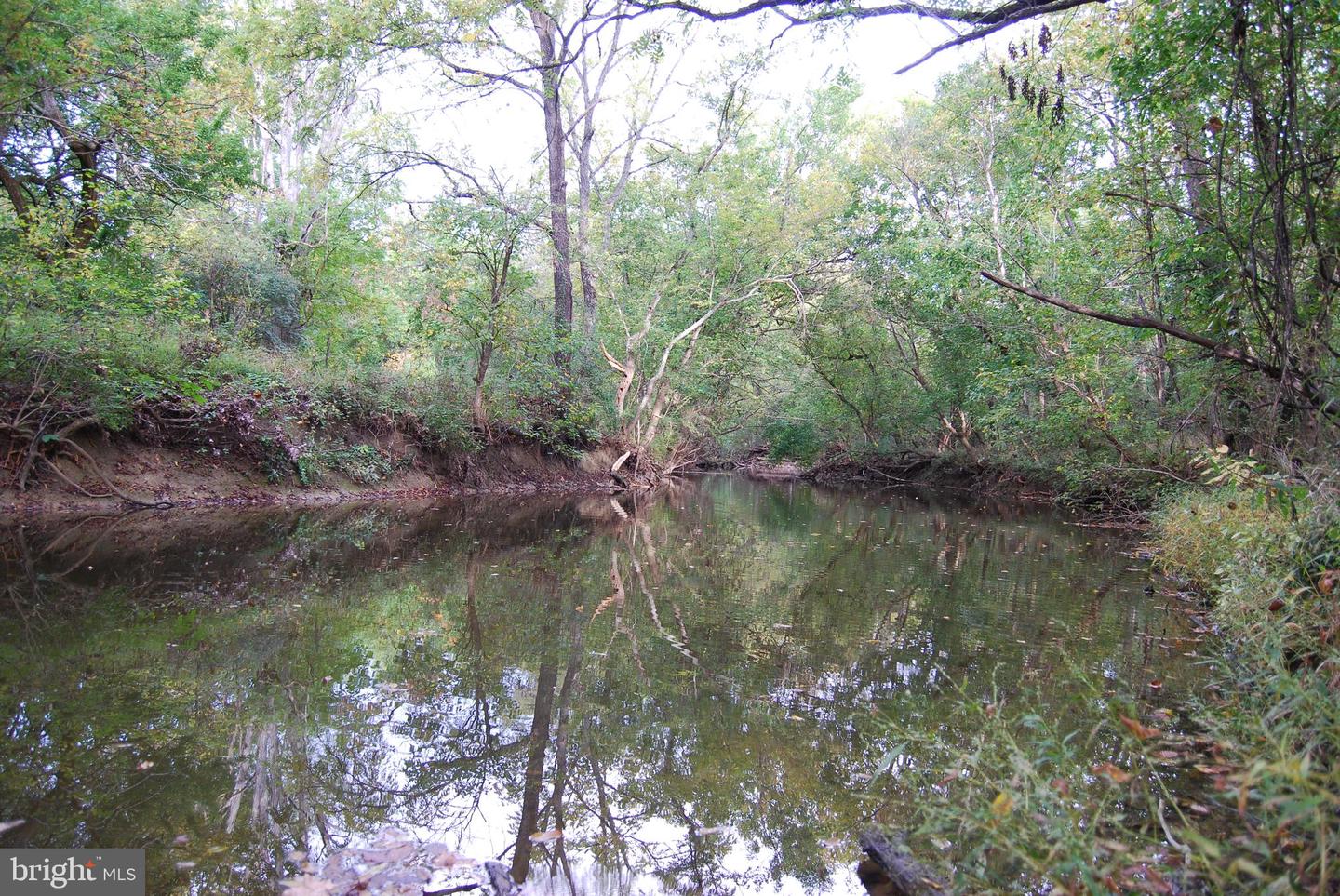 2983 OLD WINCHESTER RD, BOYCE, Virginia 22620, 3 Bedrooms Bedrooms, ,2 BathroomsBathrooms,Residential,For sale,2983 OLD WINCHESTER RD,VACL2006126 MLS # VACL2006126 2983 OLD WINCHESTER RD, BOYCE, Virginia 22620, 3 Bedrooms Bedrooms, ,2 BathroomsBathrooms,Residential,For sale,2983 OLD WINCHESTER RD,VACL2006126 MLS # VACL2006126